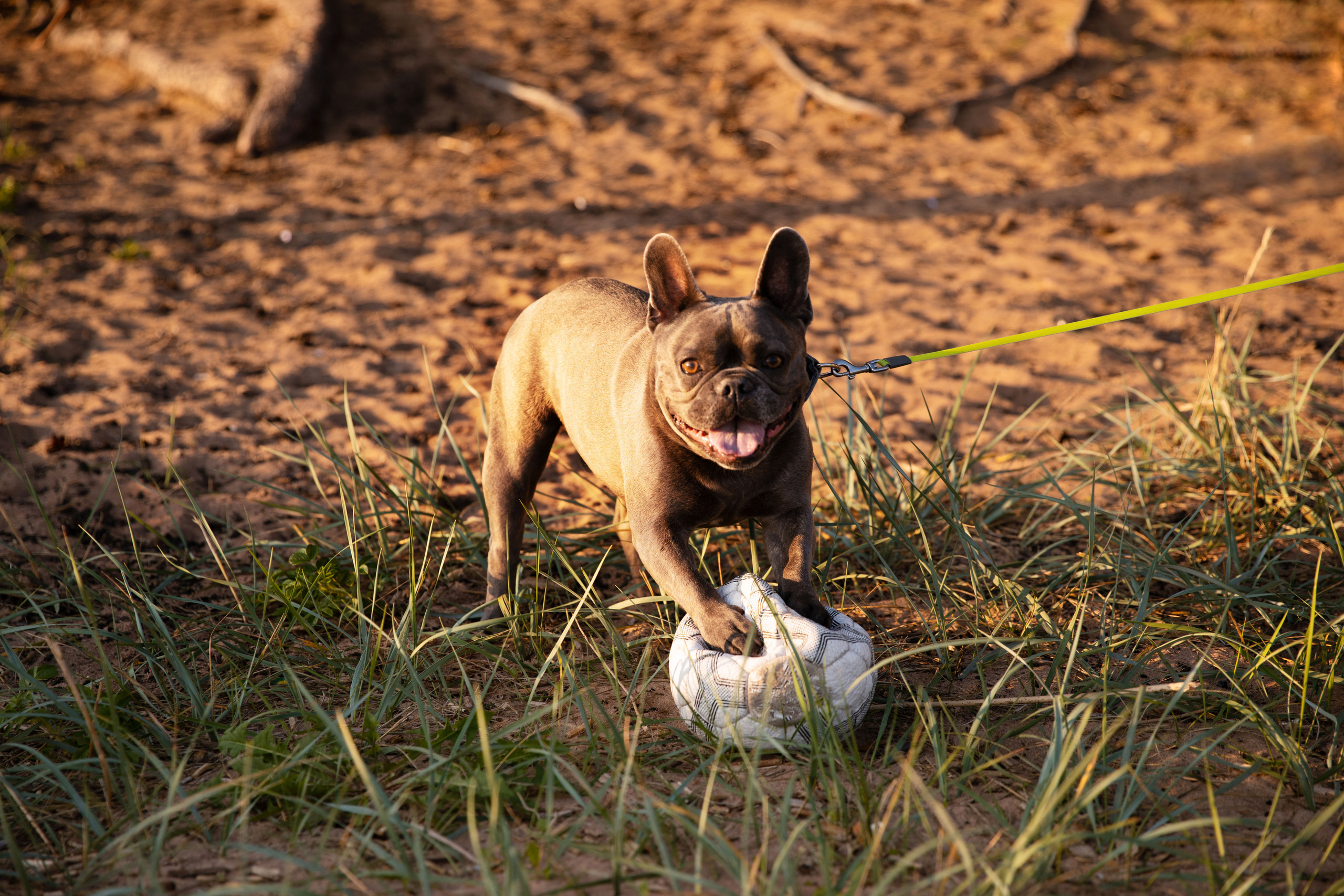 Прогулка на Финском заливе. Семейный и детский фотограф в Санкт-Петербурге Юлия Суркова