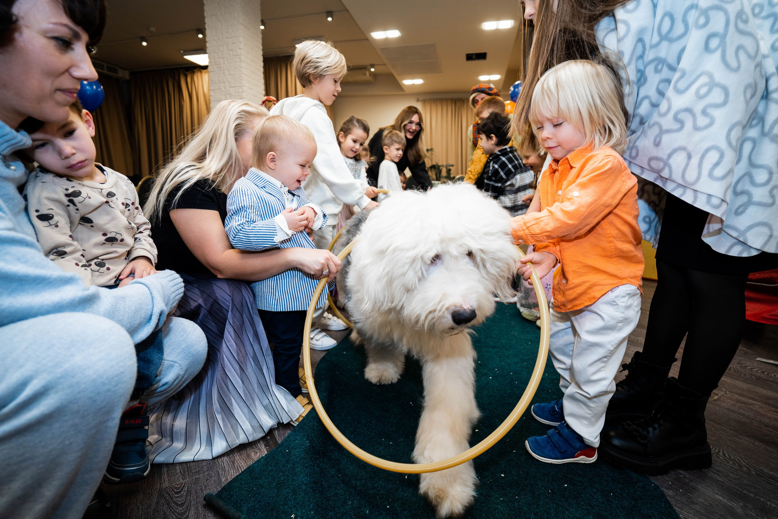 Даниэль h-day. Фотограф Абакумова Анастасия