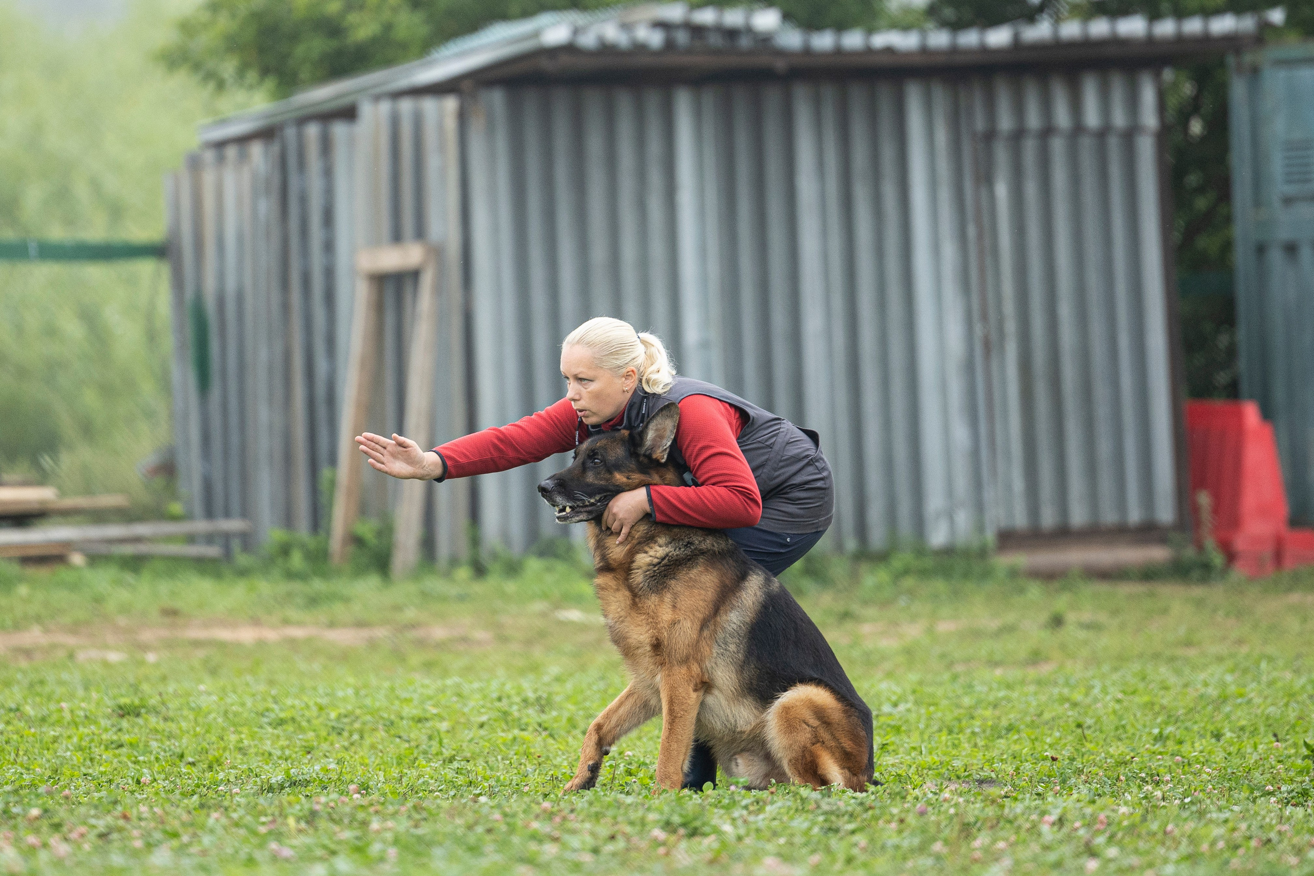 Соревнования по Мондьорингу г. Вологда 10-11.08.2024. Фотограф-анималист Анна Маринич