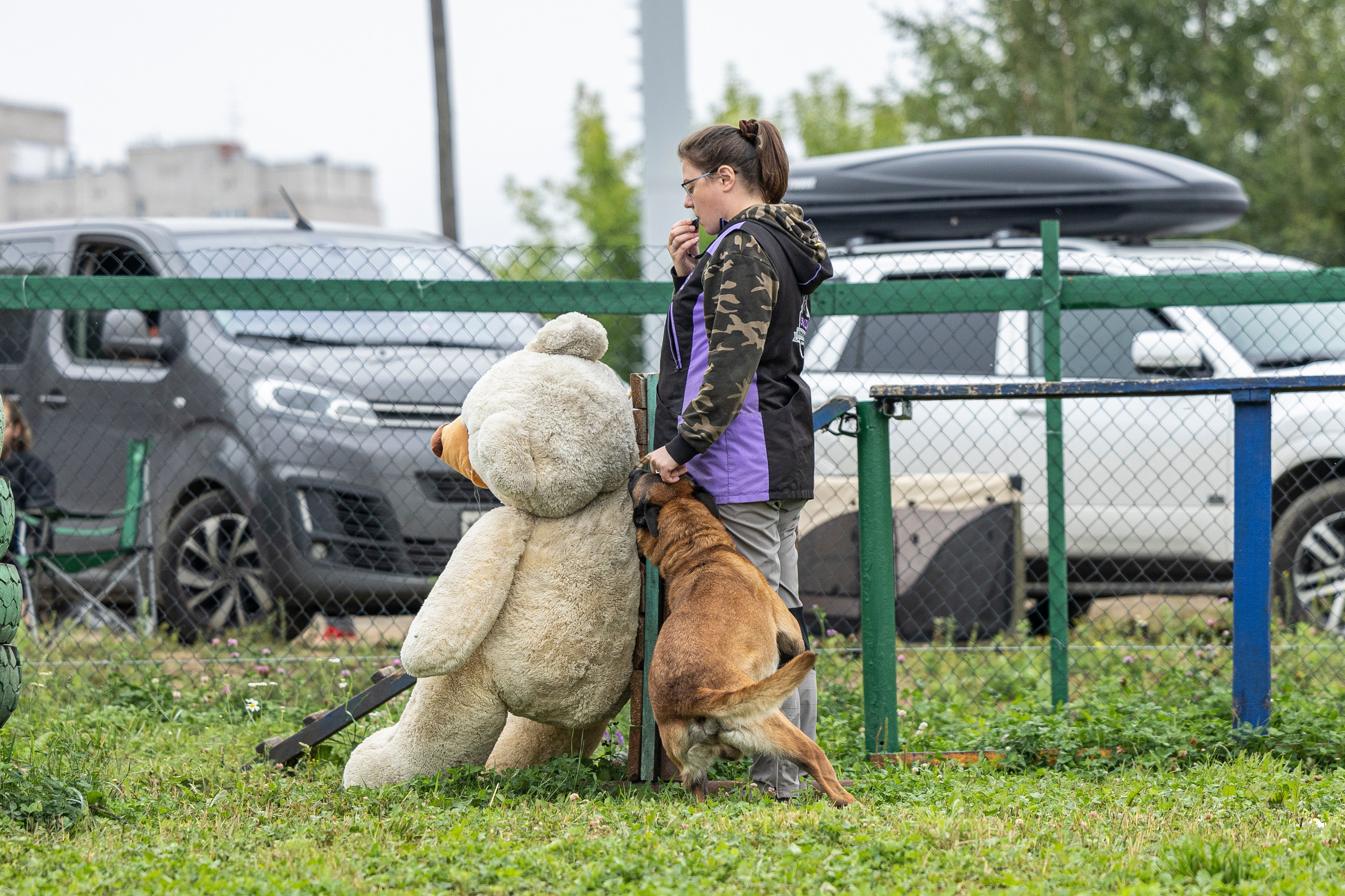 Соревнования по Мондьорингу г. Вологда 10-11.08.2024. Фотограф-анималист Анна Маринич