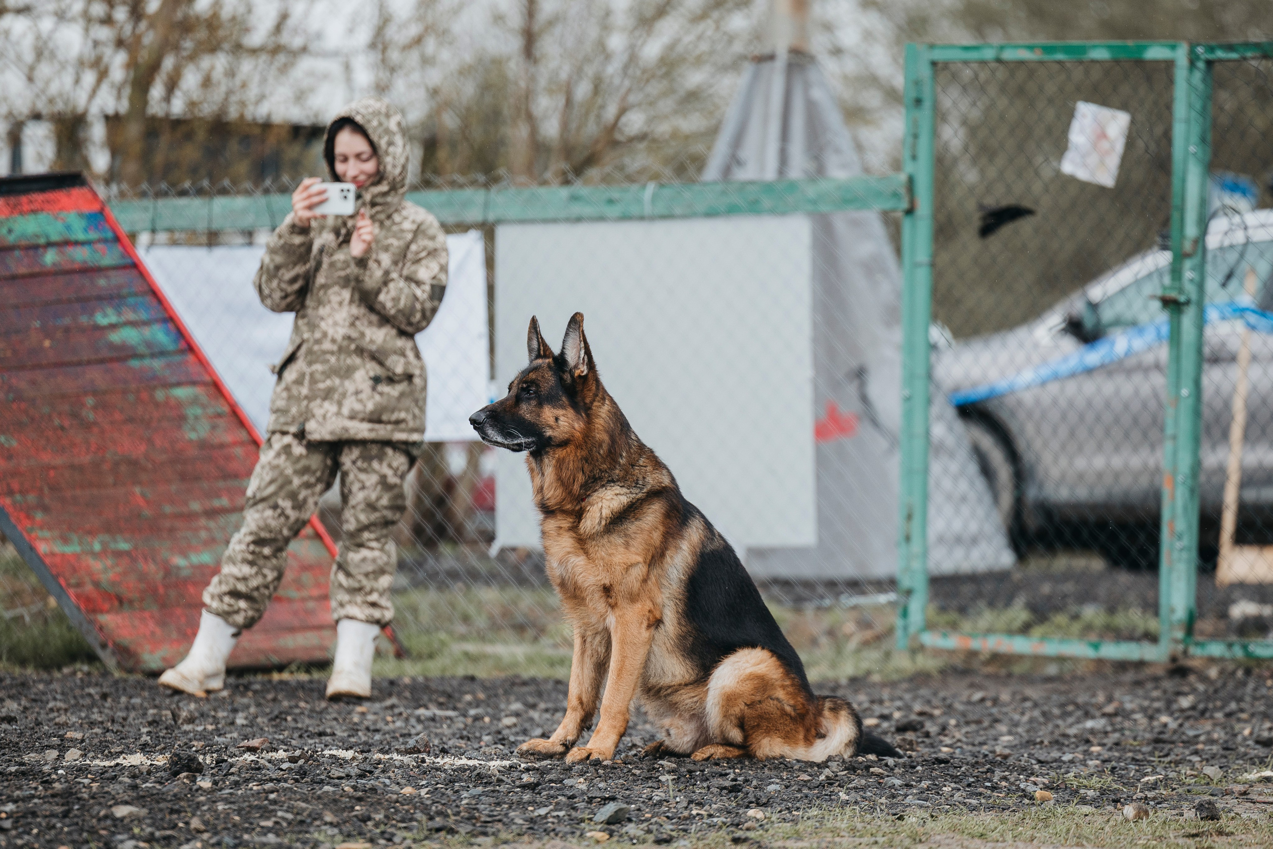 09.05.25 Вологда соревнования. Фотограф-анималист Анна Маринич