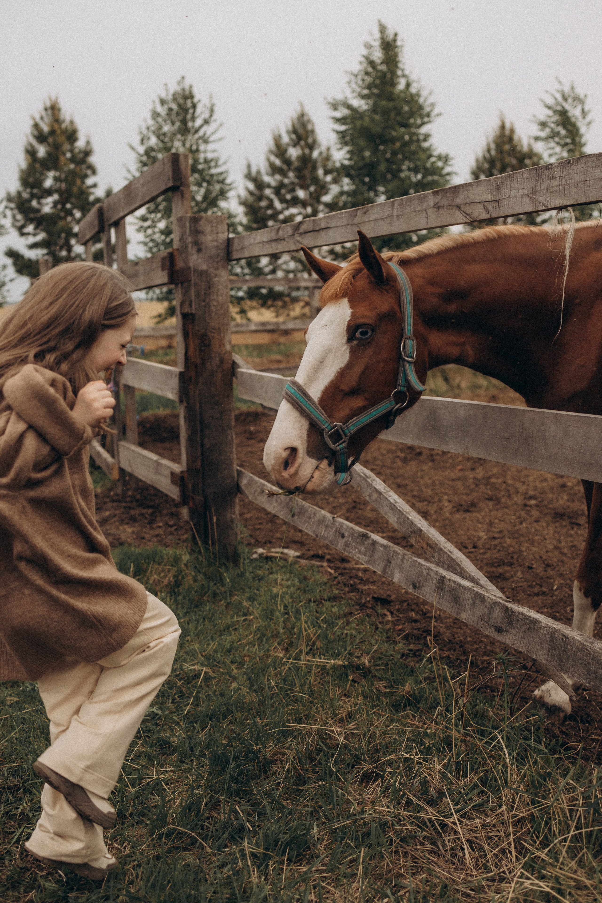 Семейная в поле. Эльвира Галимьянова — семейный фотограф Екатеринбурга
