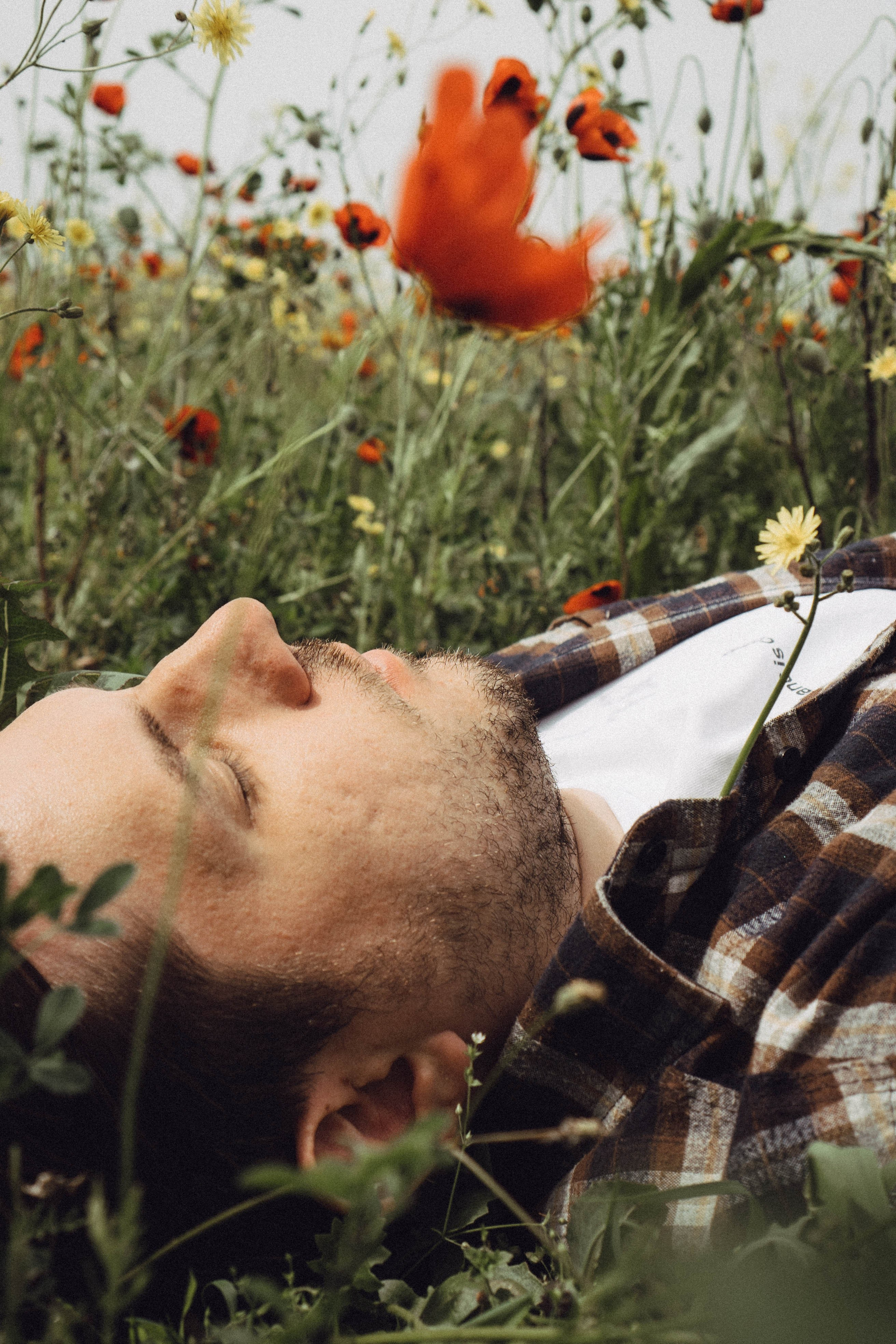 Маки. Профессиональный фотограф, Санкт-Петербург — Виктория Богомолова