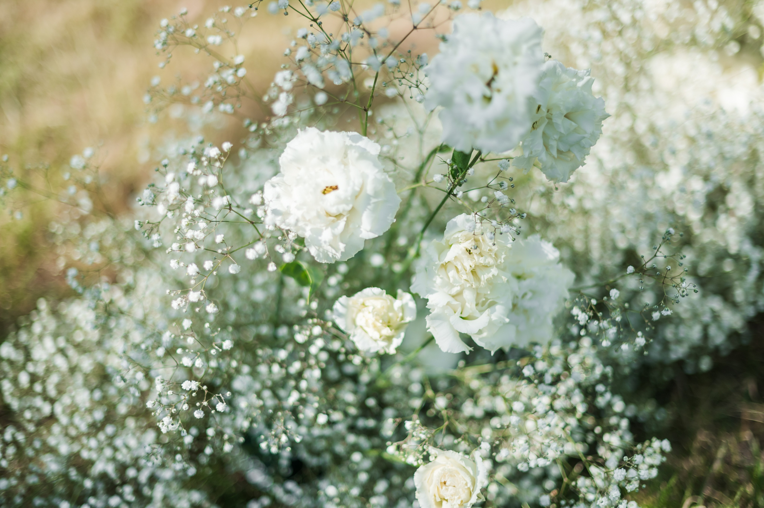 Ангелина и Вадим. Организация свадеб под ключ в Раменском