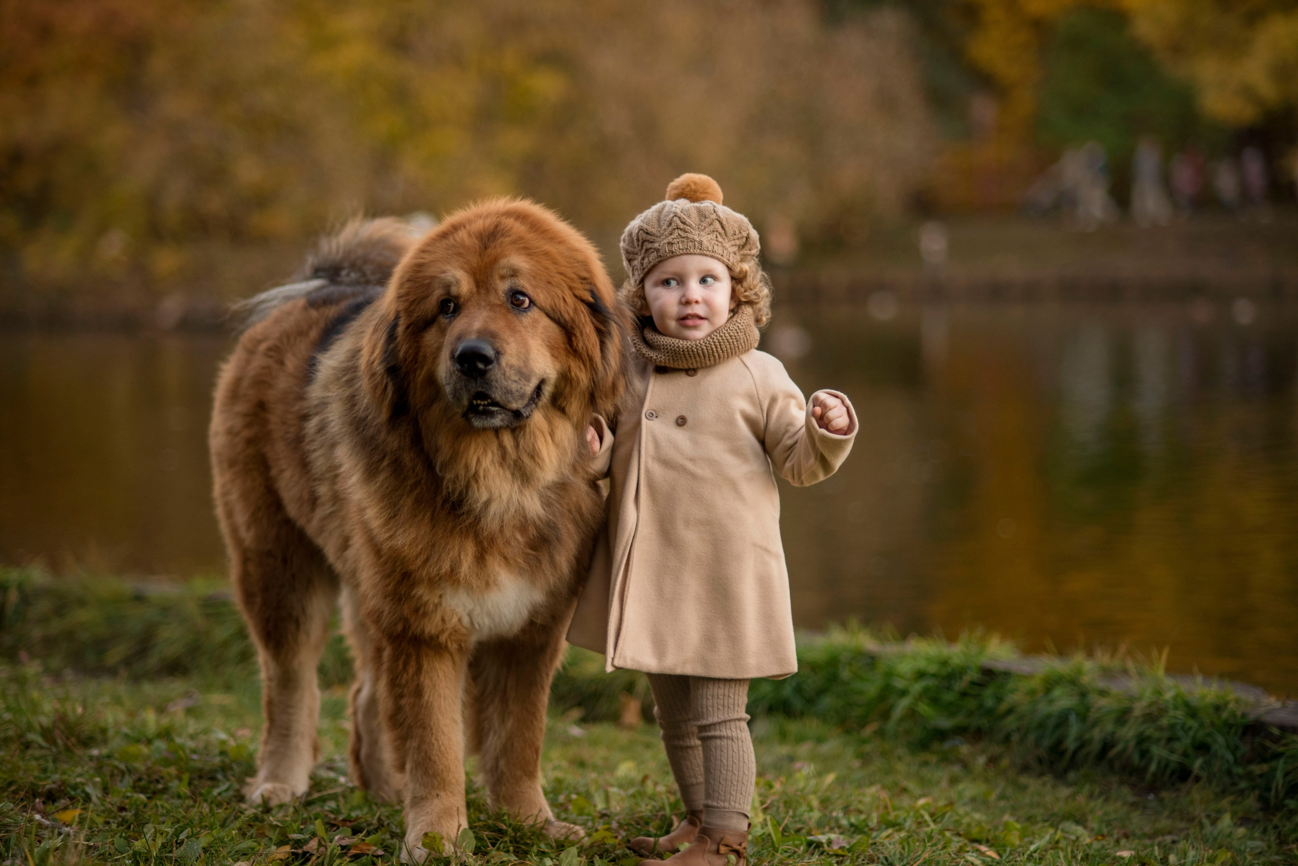 Семейные фотосессии. Фотограф в Москве Аня Цыплакова