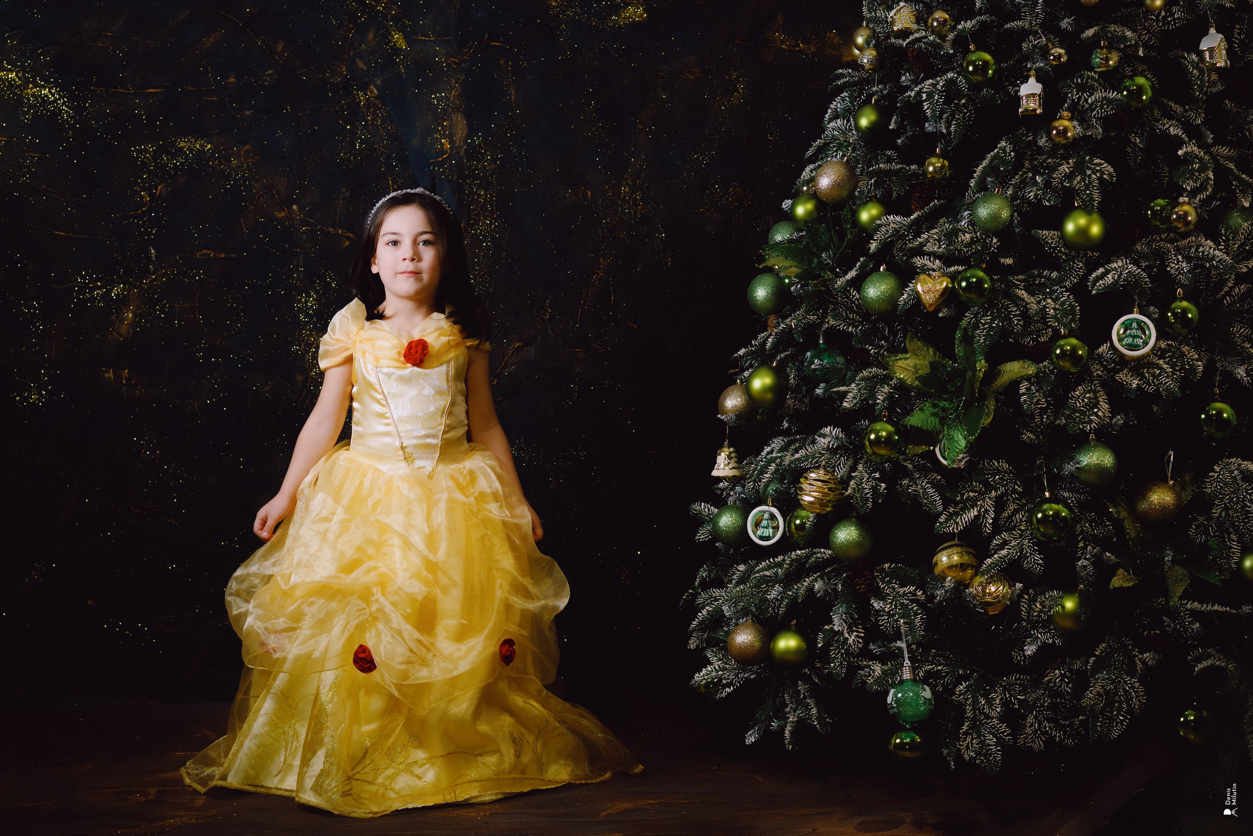 Новогодние открытки. Портретный фотограф Денис Милютин