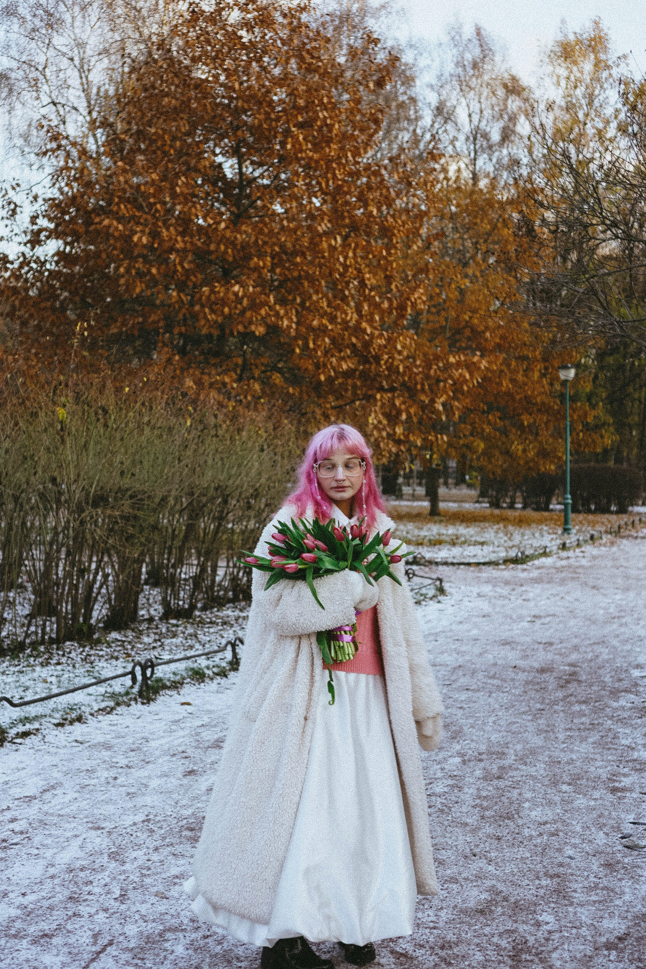 Тюльпаны. Профессиональный фотограф, Санкт-Петербург — Виктория Богомолова