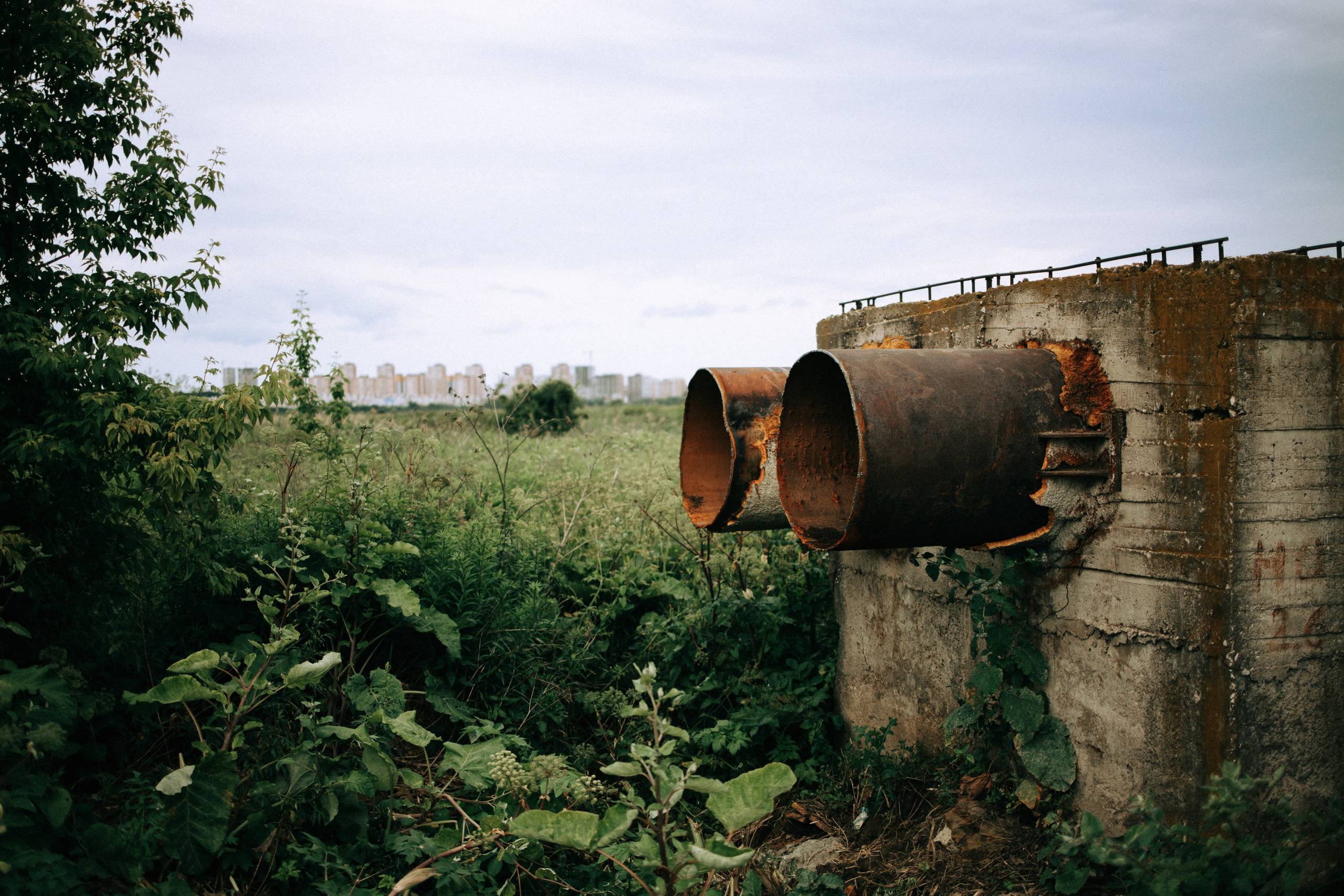 Прогулка по Криволучью. Свадебный и семейный фотограф в Туле и области Маша Костина
