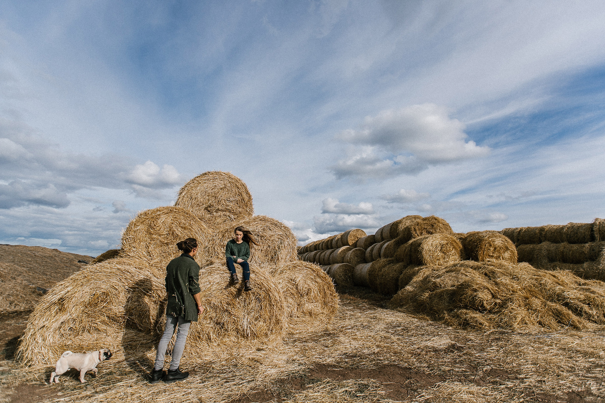 Фотосессия в поле. Свадебный фотограф Элли Федосеева
