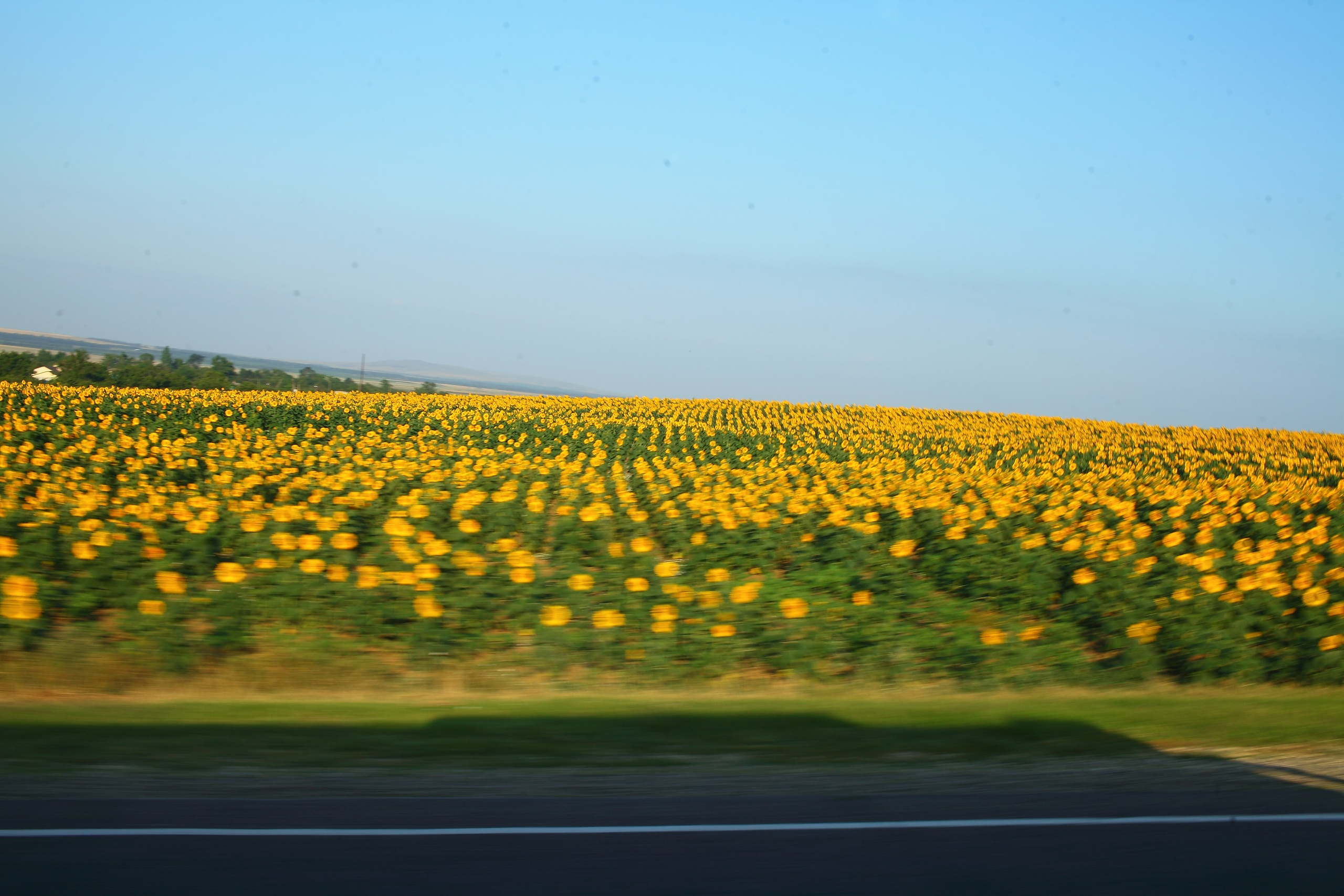 Крым. Свадебный и репортажный фотограф в Ярославле и Санкт-Петербурге Роман Микрюков