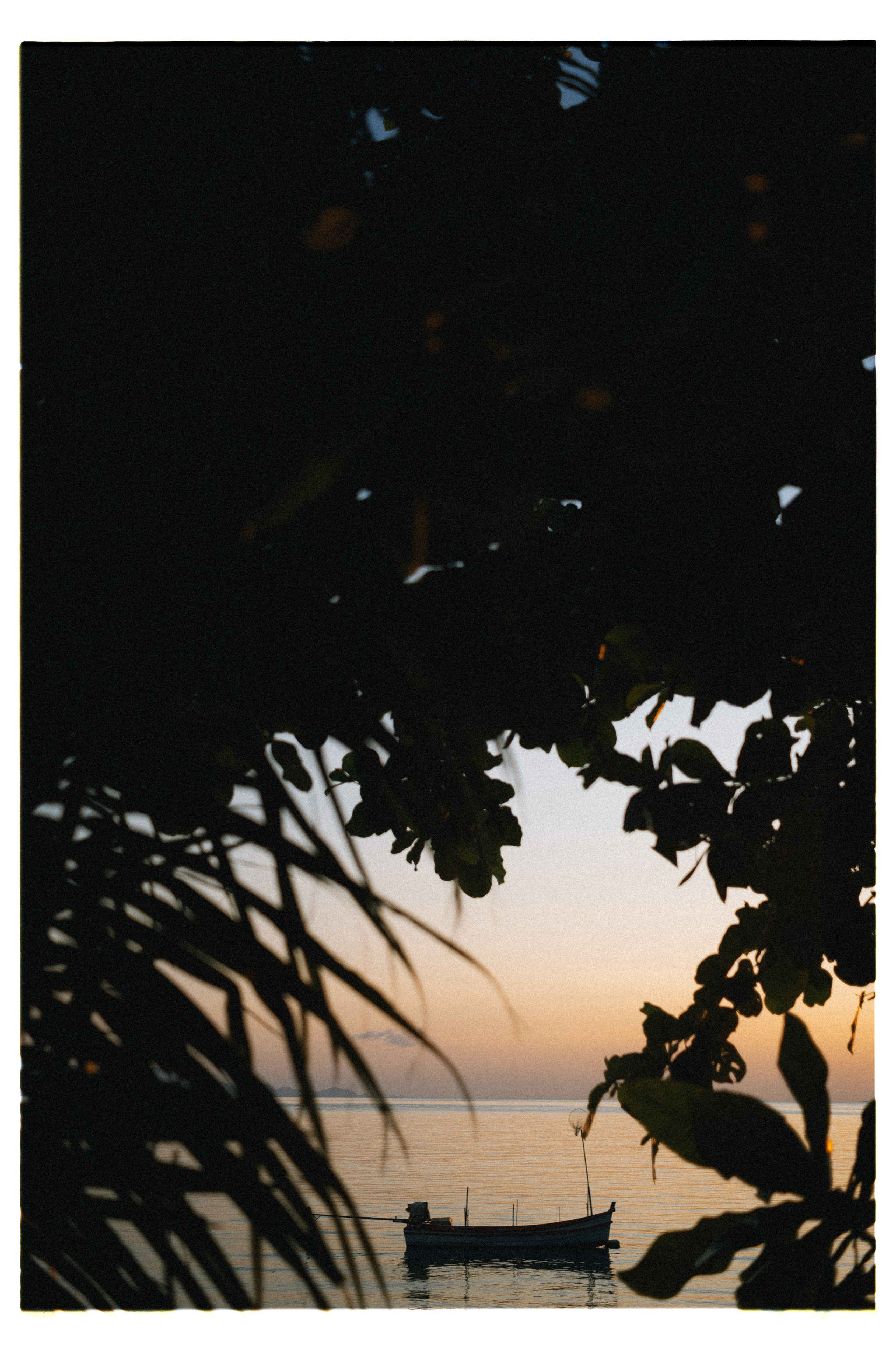 PAHNGAN 26. Свадебный и семейный фотограф Никита Корохов