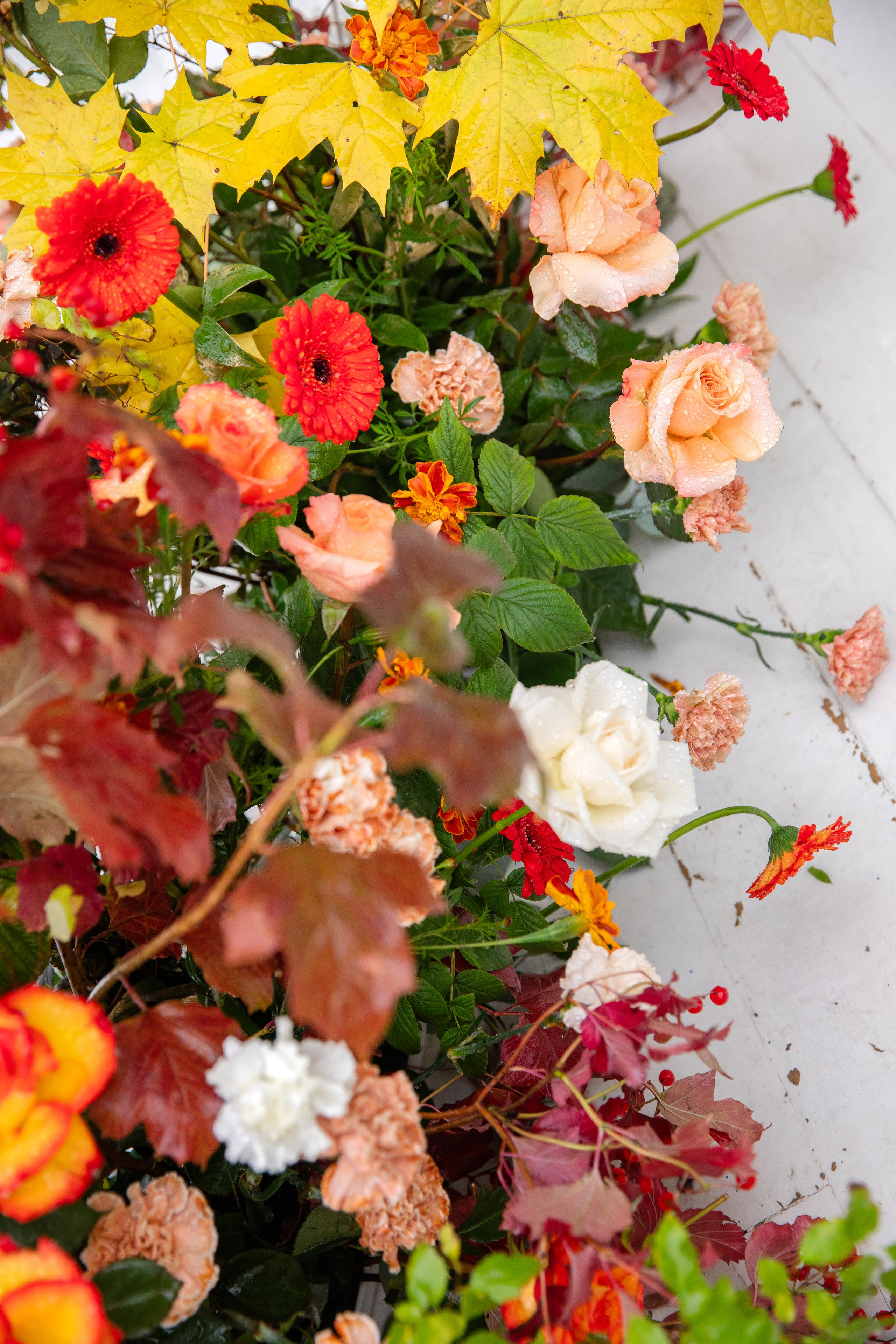 Осенью. Свадебный и семейный фотограф в Санкт- Петербурге Гугучкина Полина