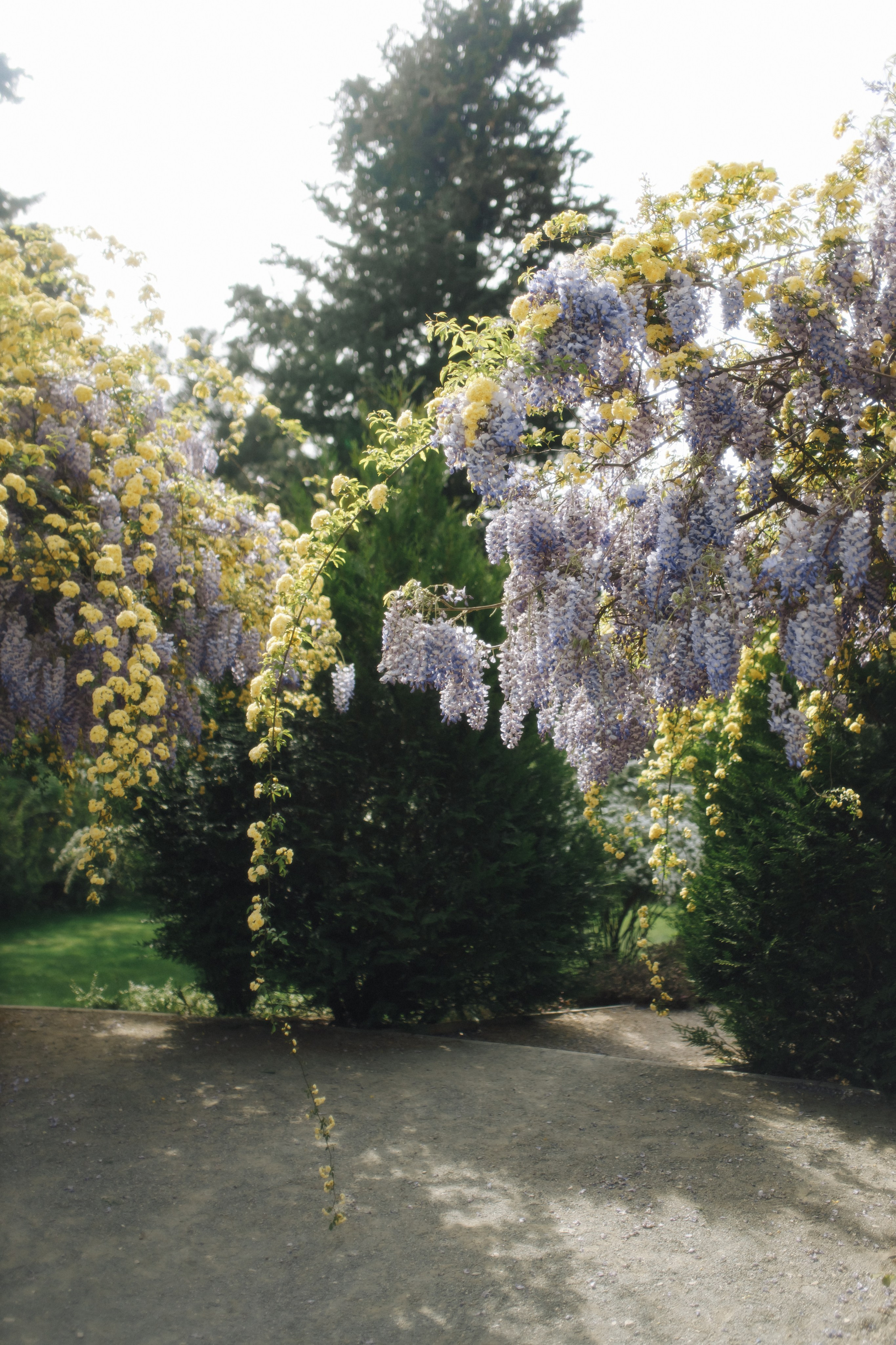 Regina & Alexander. Свадебный фотограф в Севастополе и Крыму| Tanya Sher