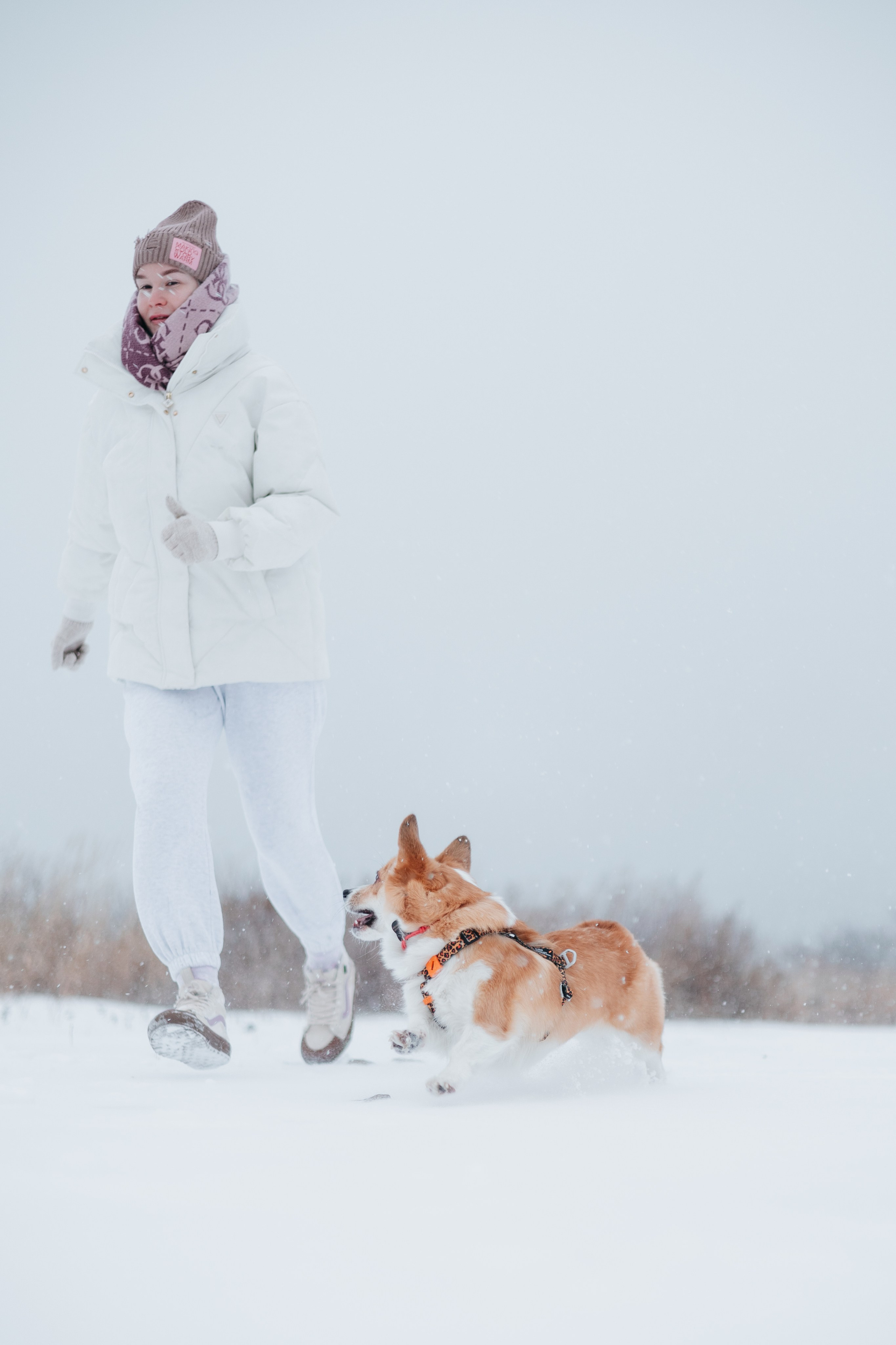 Лена, Лиза и Мия. Фотограф — анималист Владивосток, Алина