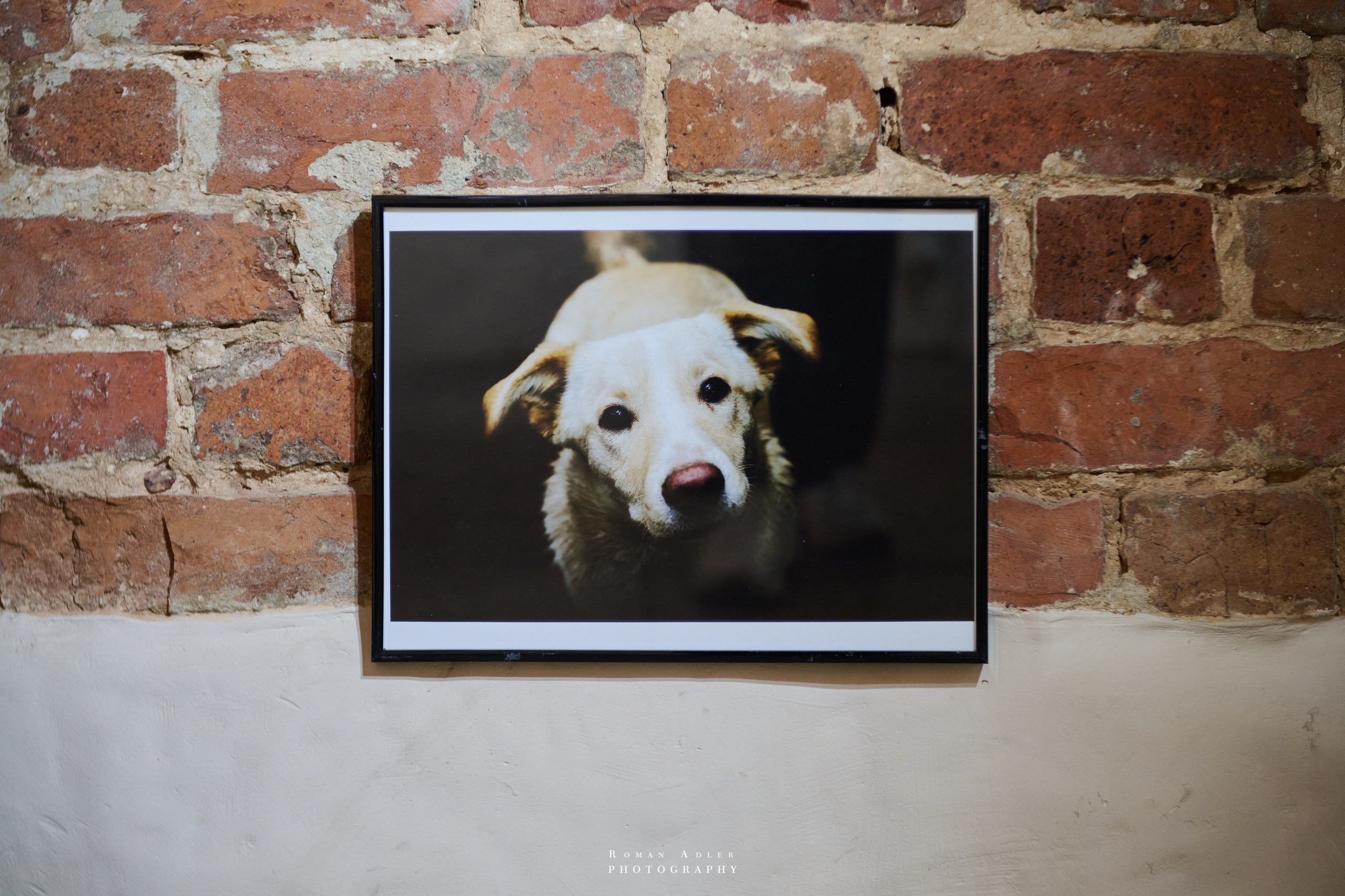 Художественный проект выставка «Глазами ГЕРОЕВ». Фотограф Роман Адлер