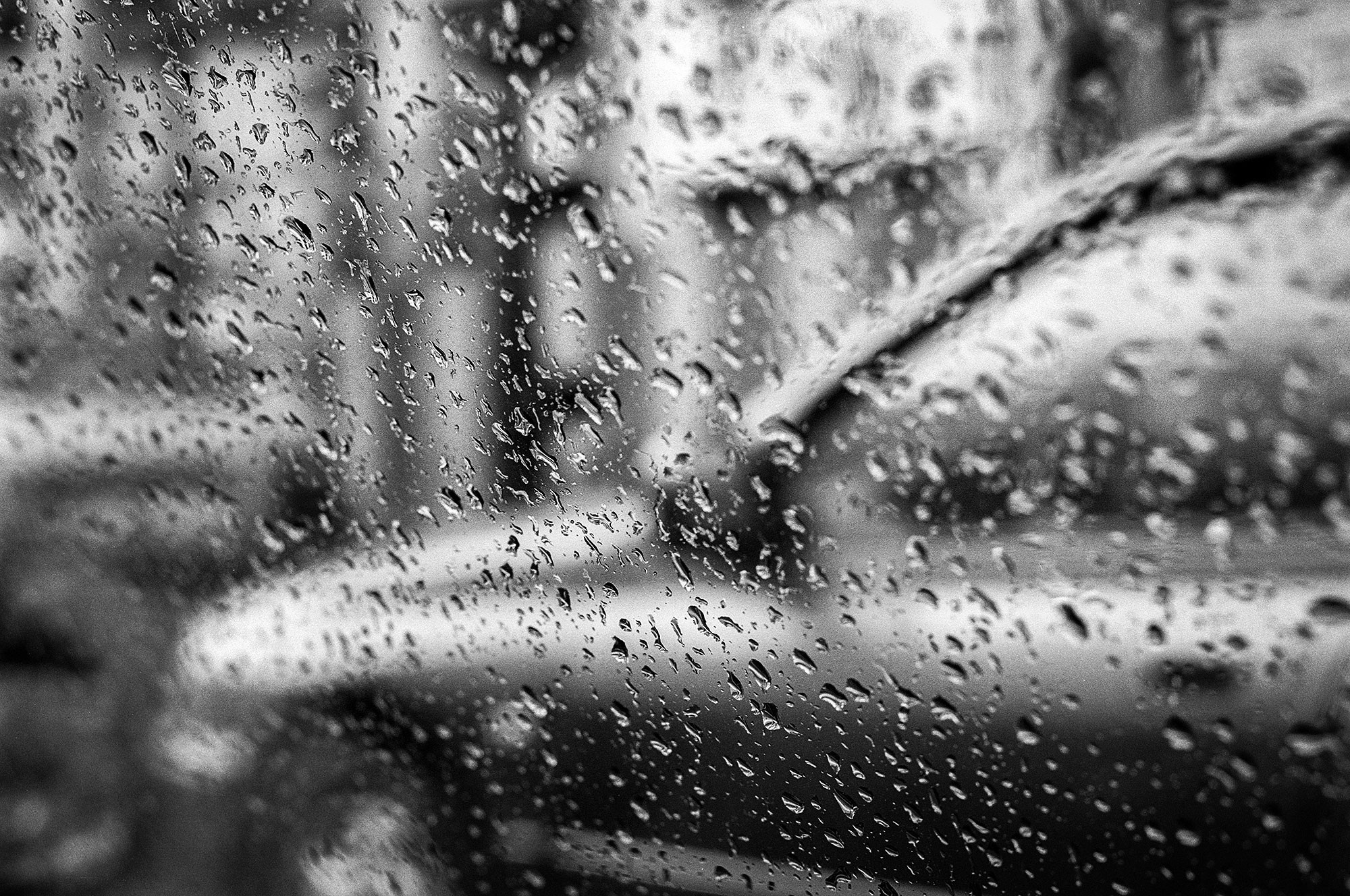 Свадебный фотограф в Геленджике