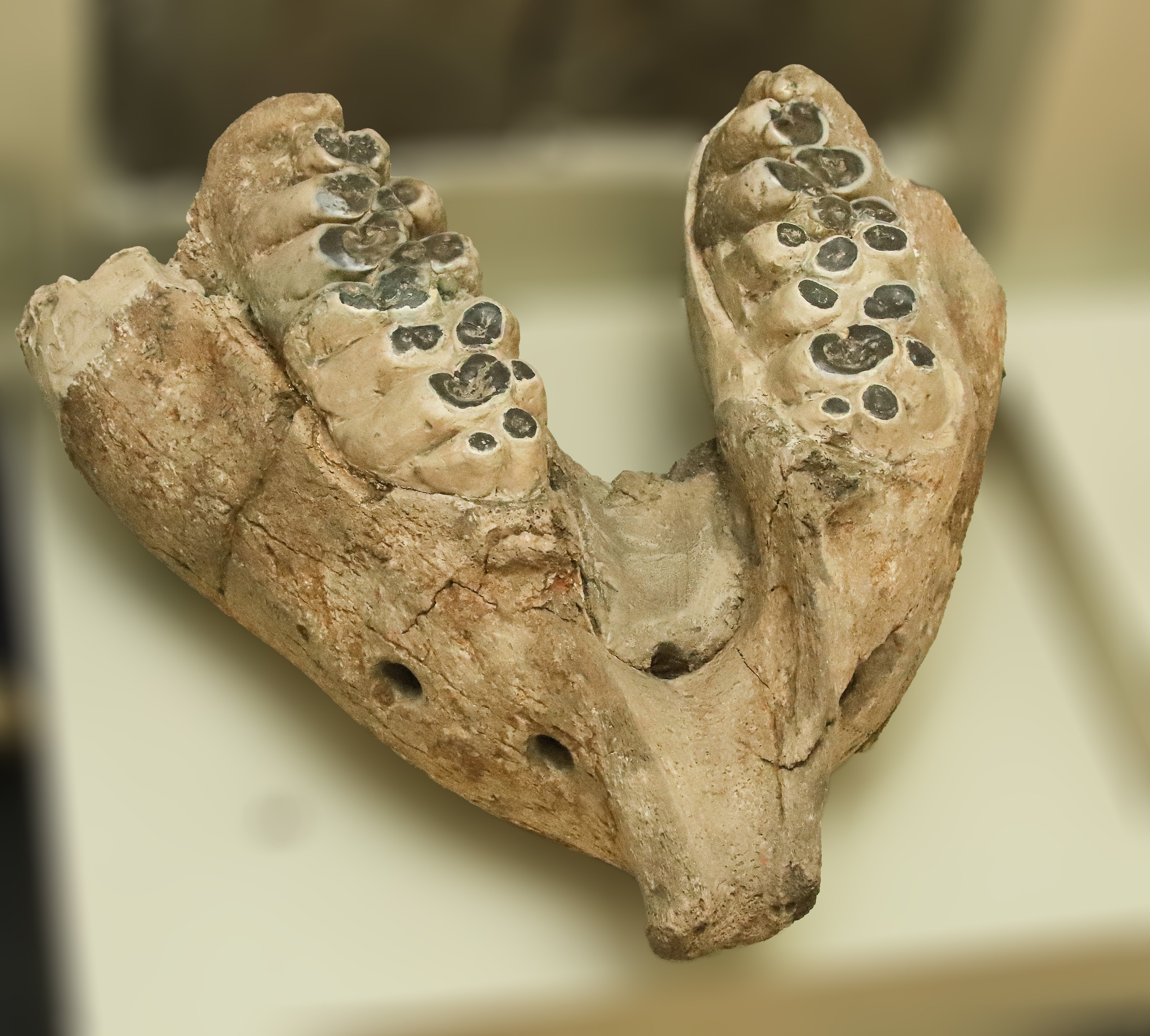 Каменная летопись. Фотограф Юлия Маринина