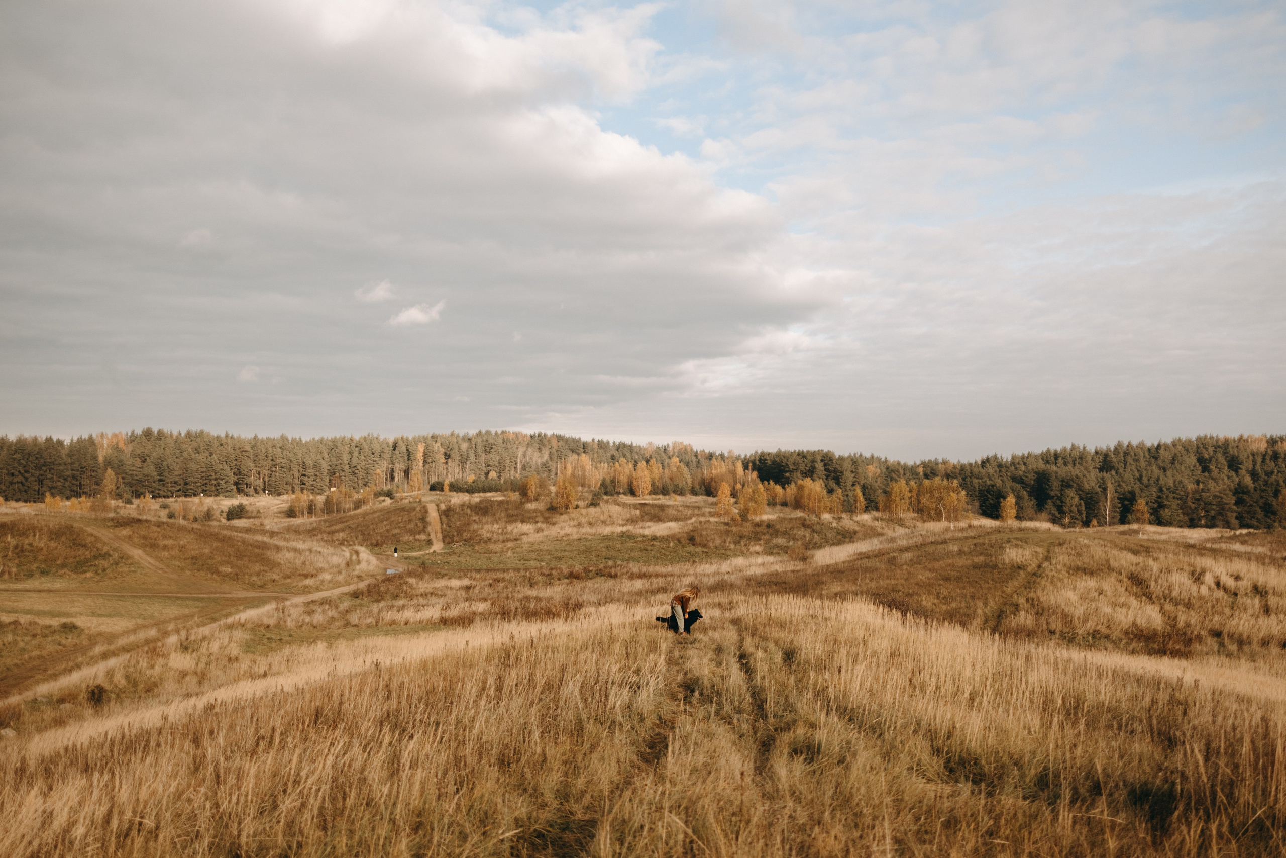 Лора и Джанго. Фотограф — Анималист | Санкт-Петербург
