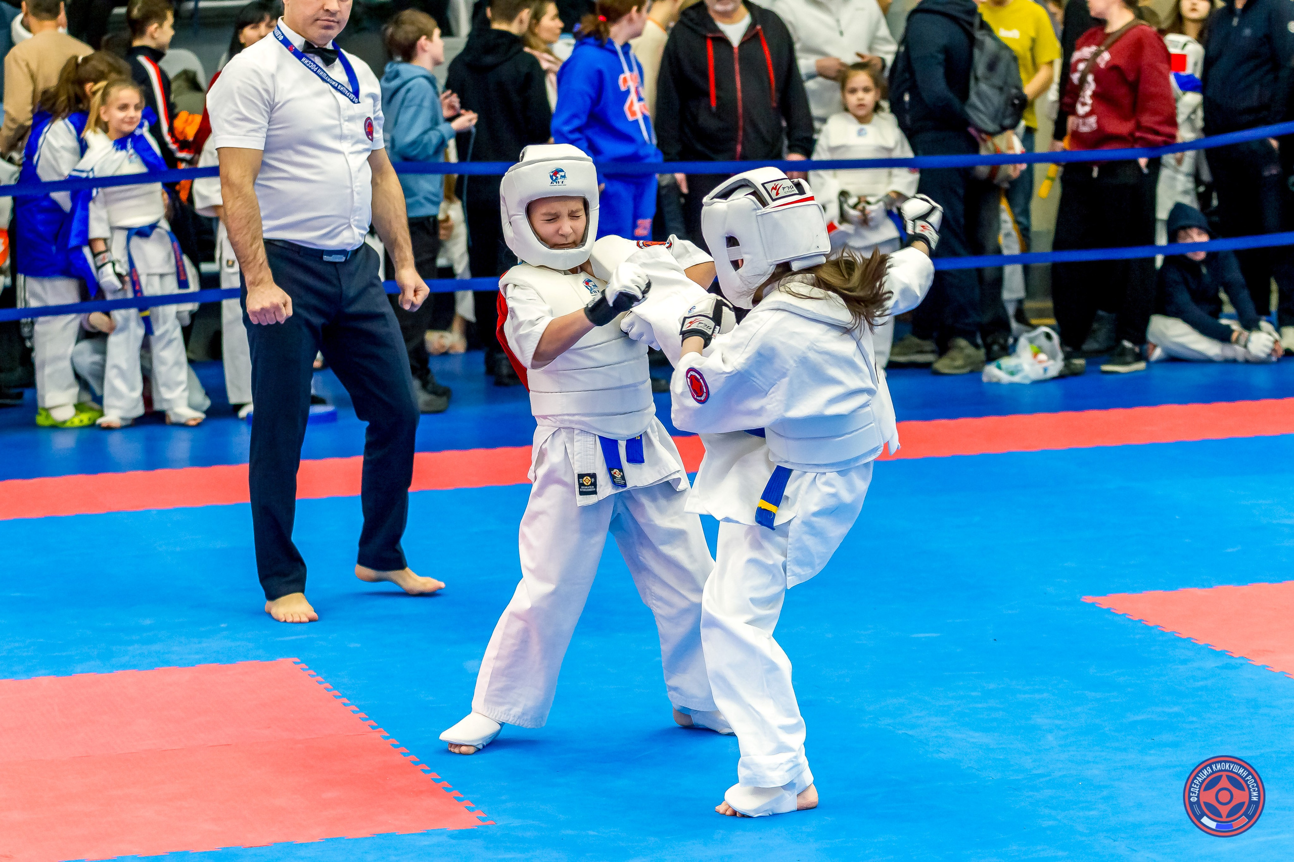 Международный турнир по киокушин «Открытый кубок Seiken». Репортажная съемка в Москве и области. Анималистика