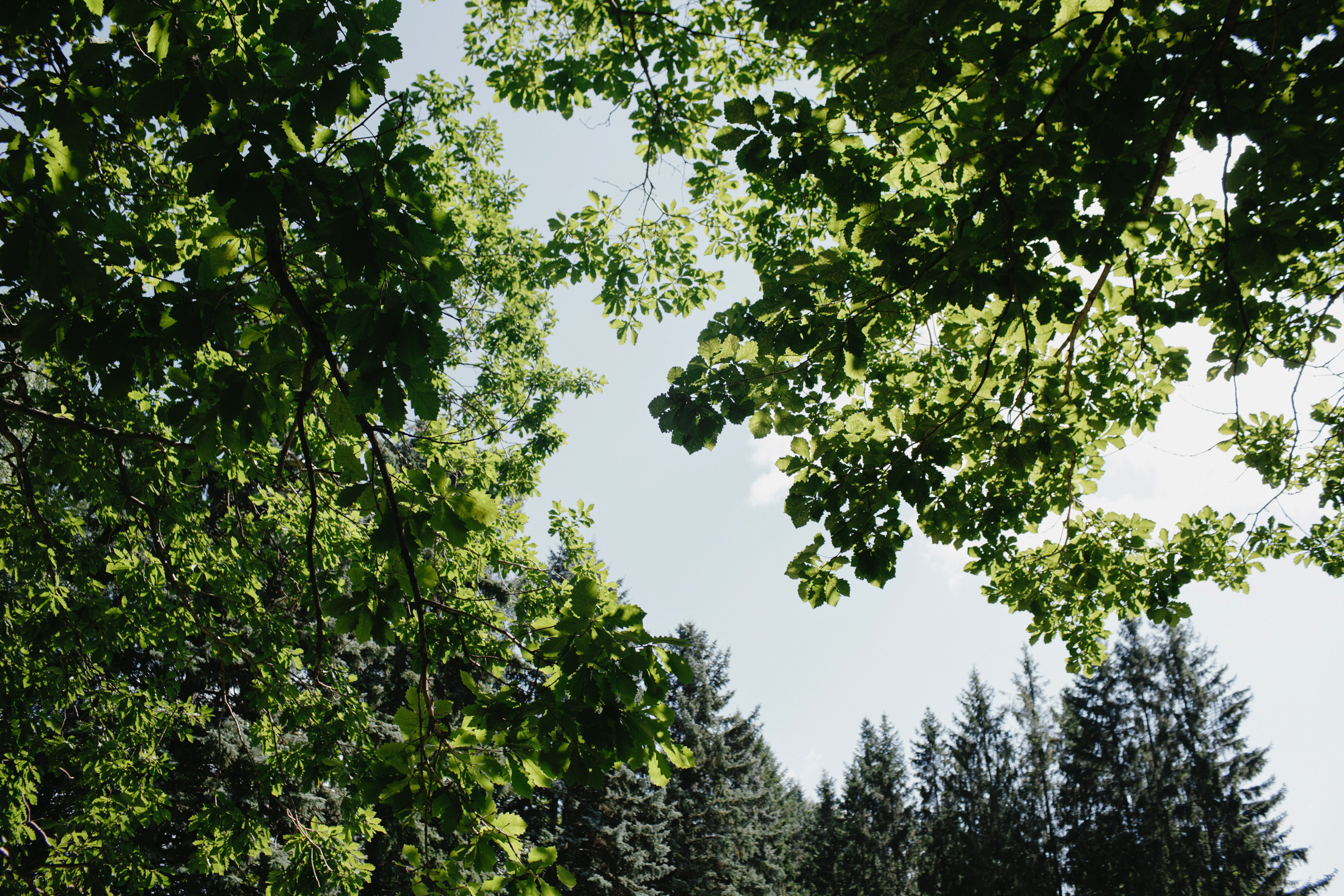 Рыжая. Портретный и свадебный фотограф в Екатеринбурге Владимир ЛузинЛузин