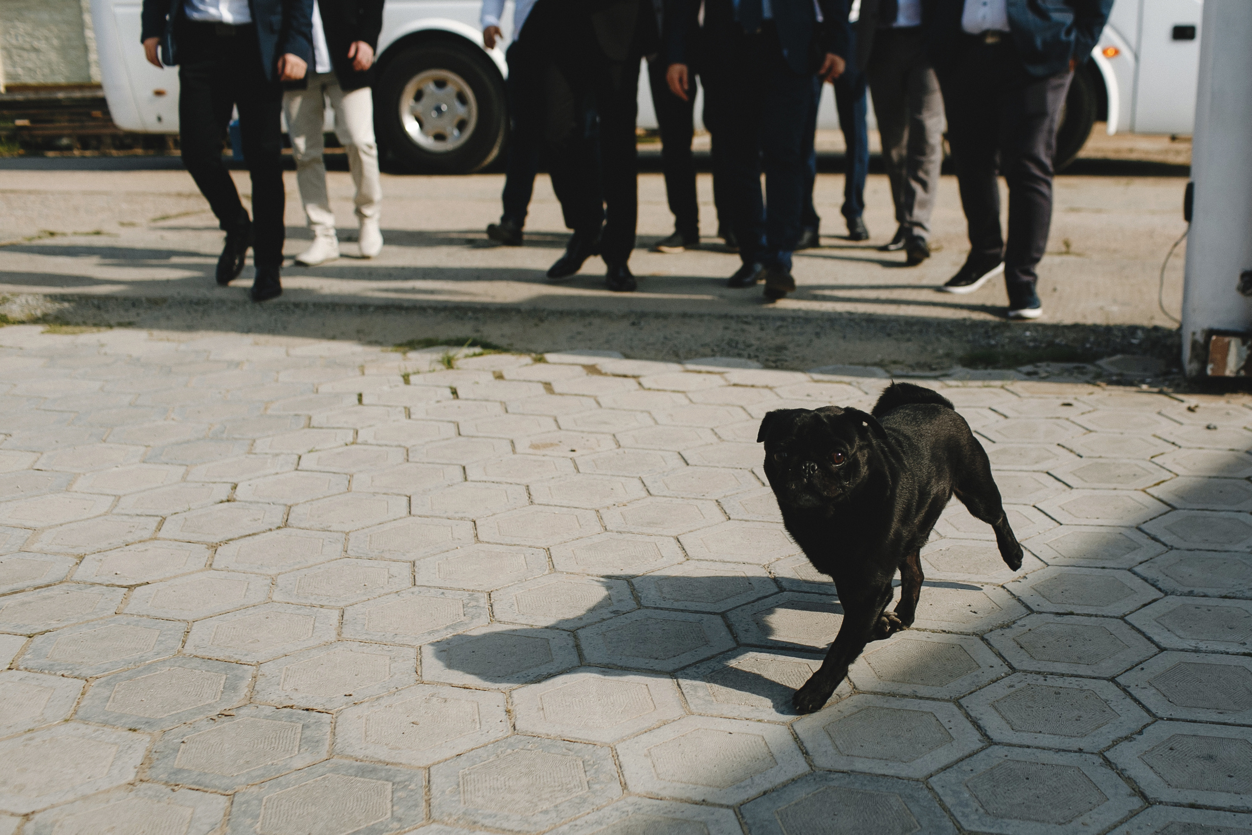 Алексей и Алёна. Портретный и свадебный фотограф в Екатеринбурге Владимир ЛузинЛузин