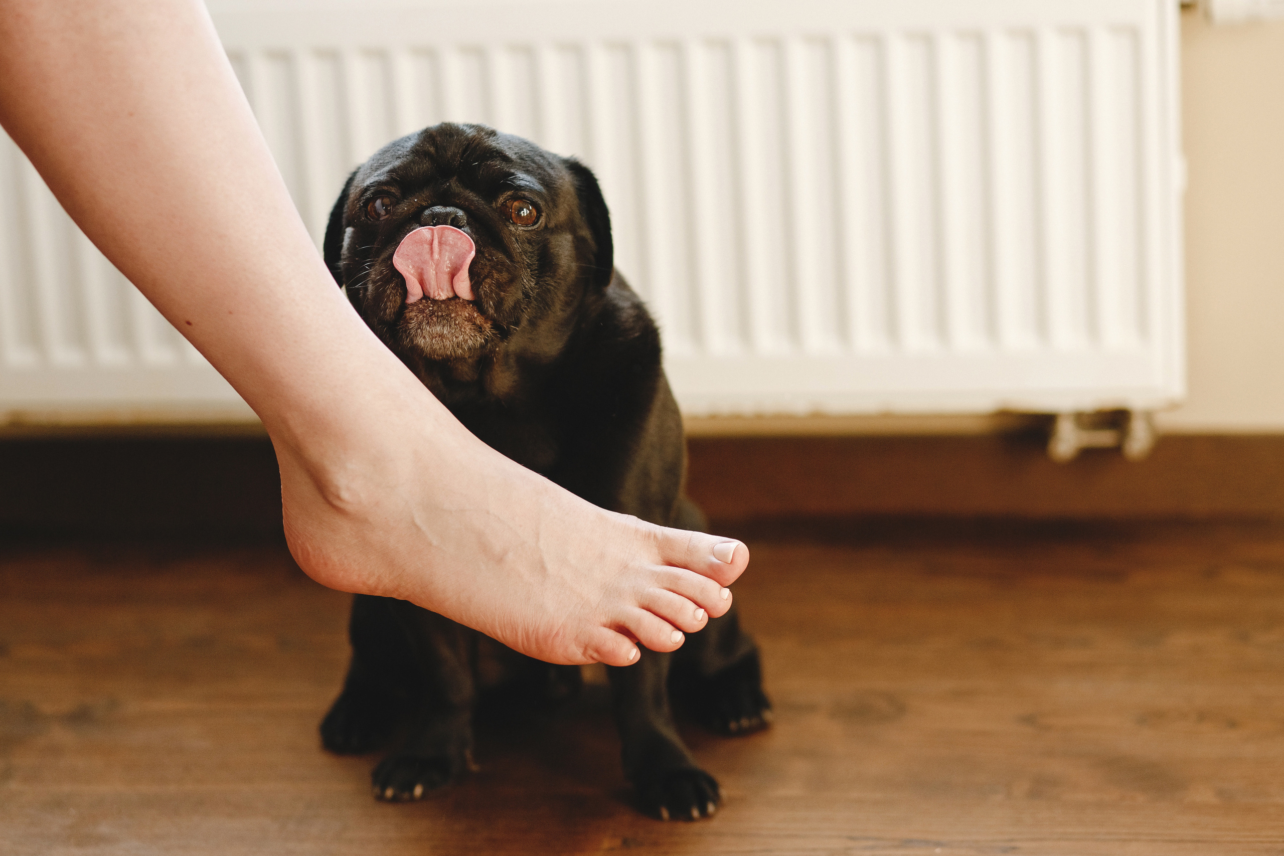 Алексей и Алёна. Портретный и свадебный фотограф в Екатеринбурге Владимир ЛузинЛузин