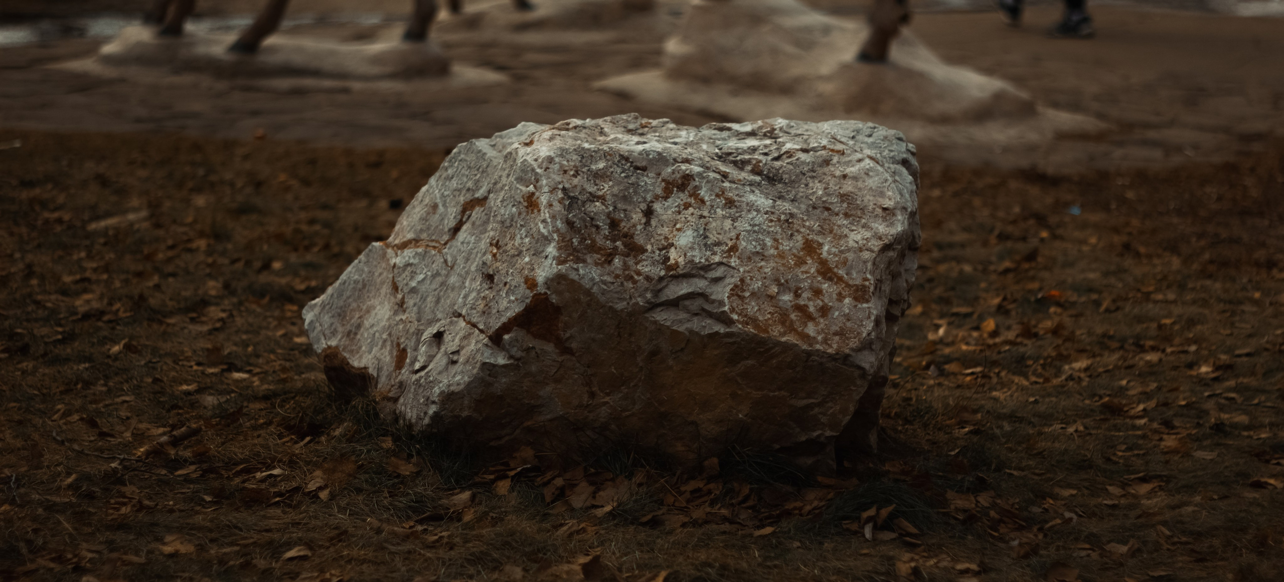 21.03.2025 | Сосновоборск. Kuznetsov | Фотограф в Красноярске