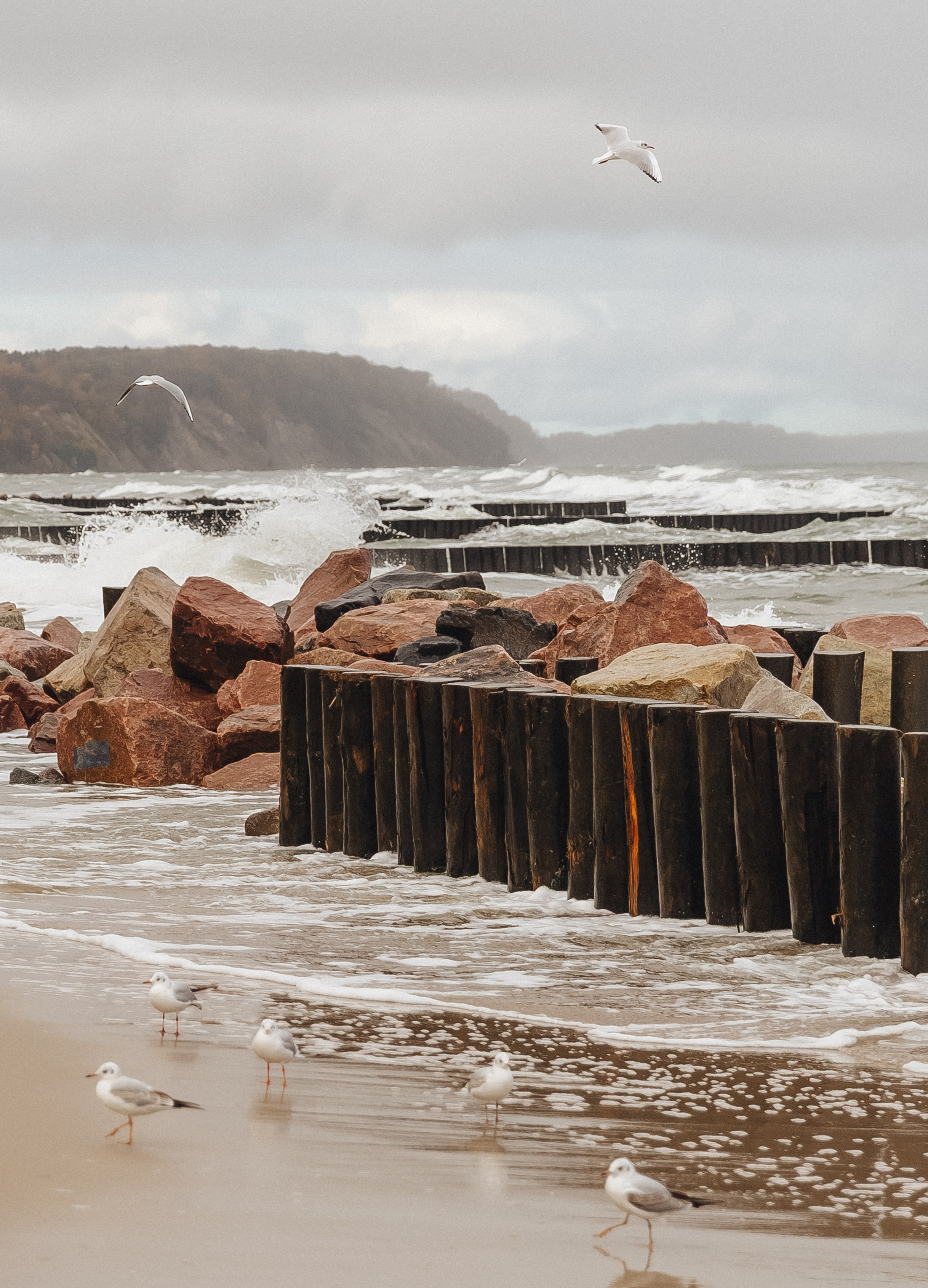 Sea_. Diana Chumakova