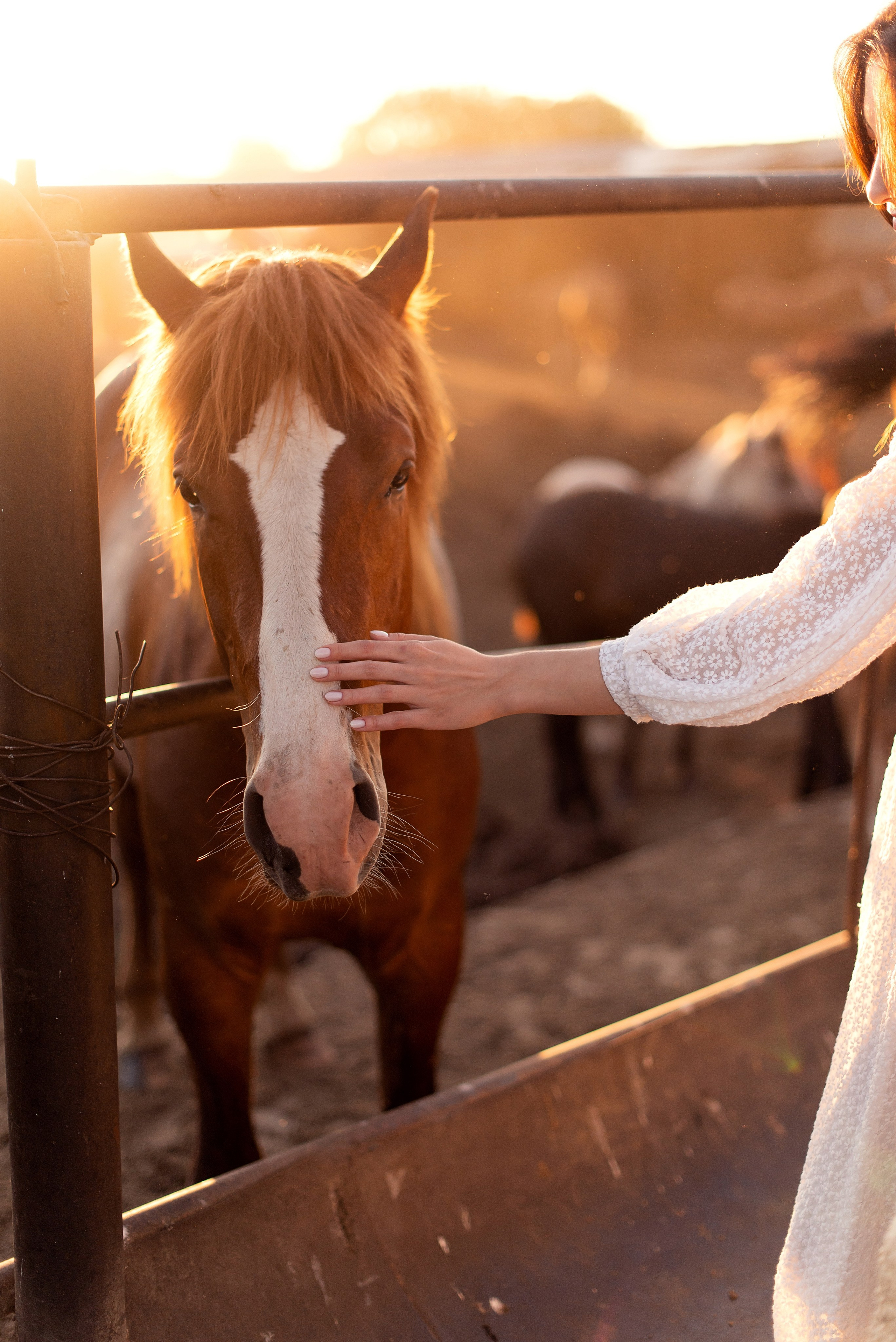 Лилия и Эльвина. Семейный и детский фотограф в Казани Виктория Мерхи