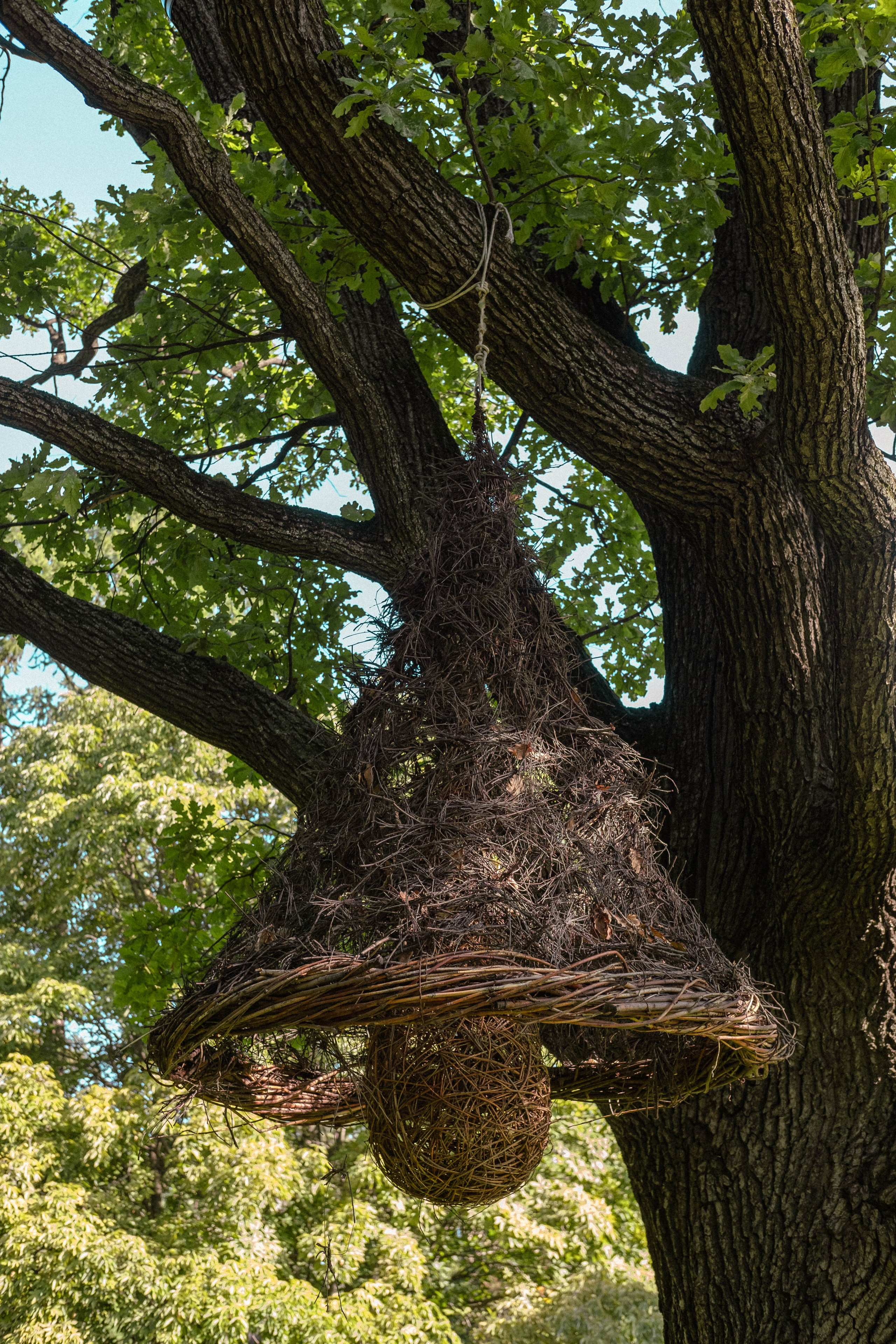 Москва 2024. Свадебный и семейный фотограф в Новосибирске, Санкт-Петербурге, Москве