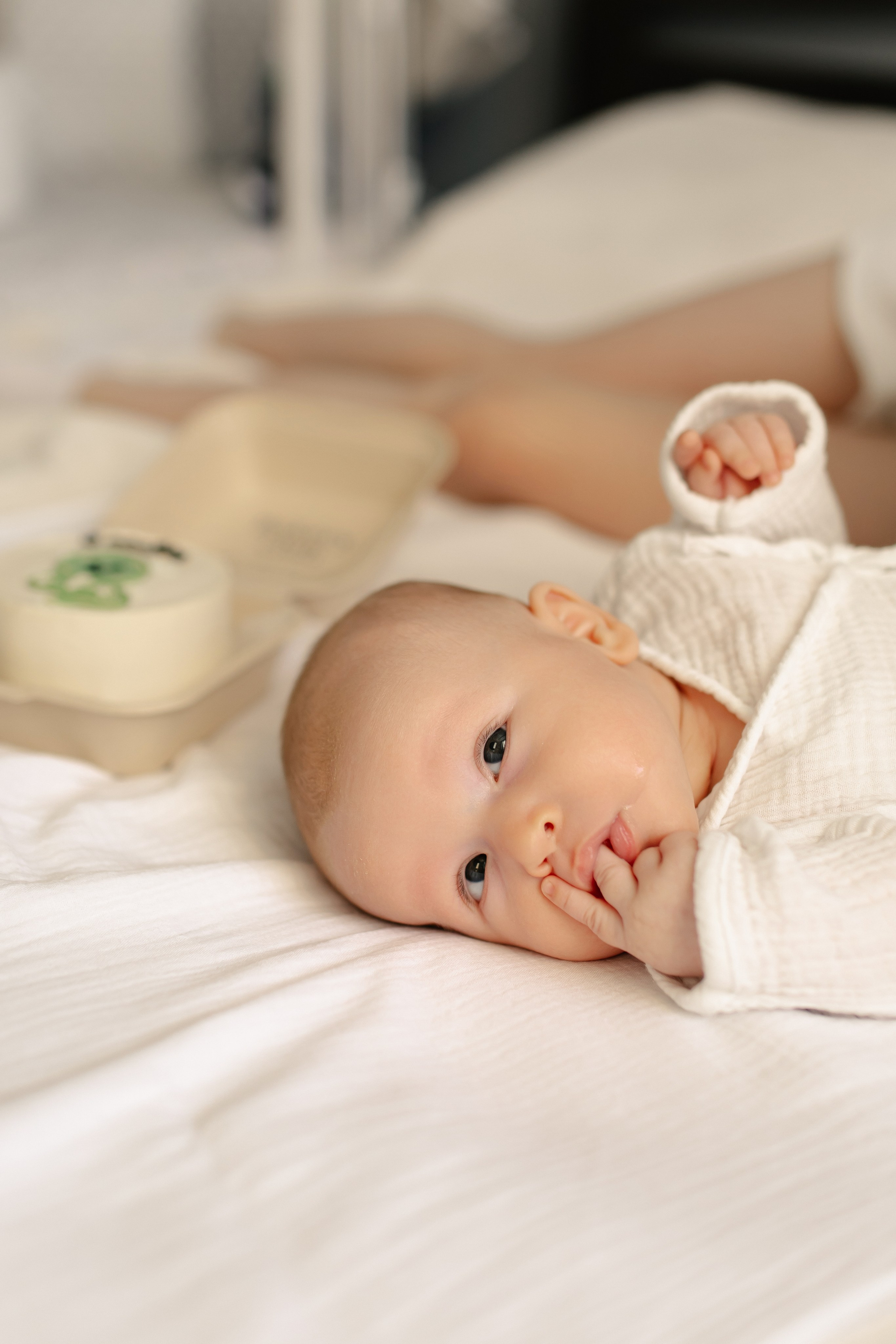 Про маленького дракончика. Брысина Алёна/ фотограф Петрозаводск, Карелия