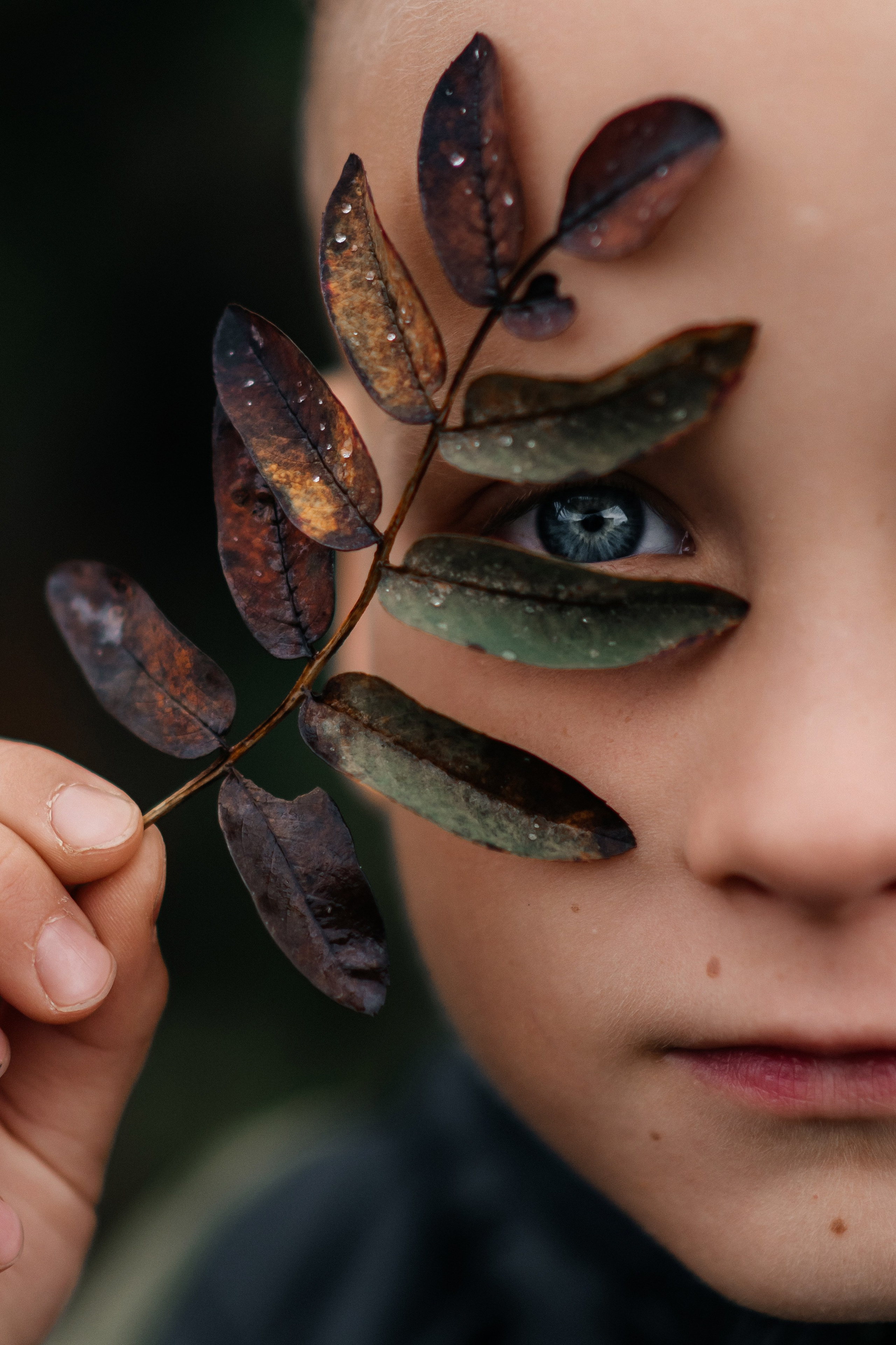 Осень. Фотограф в Москве/Зарайске Шахова Марина