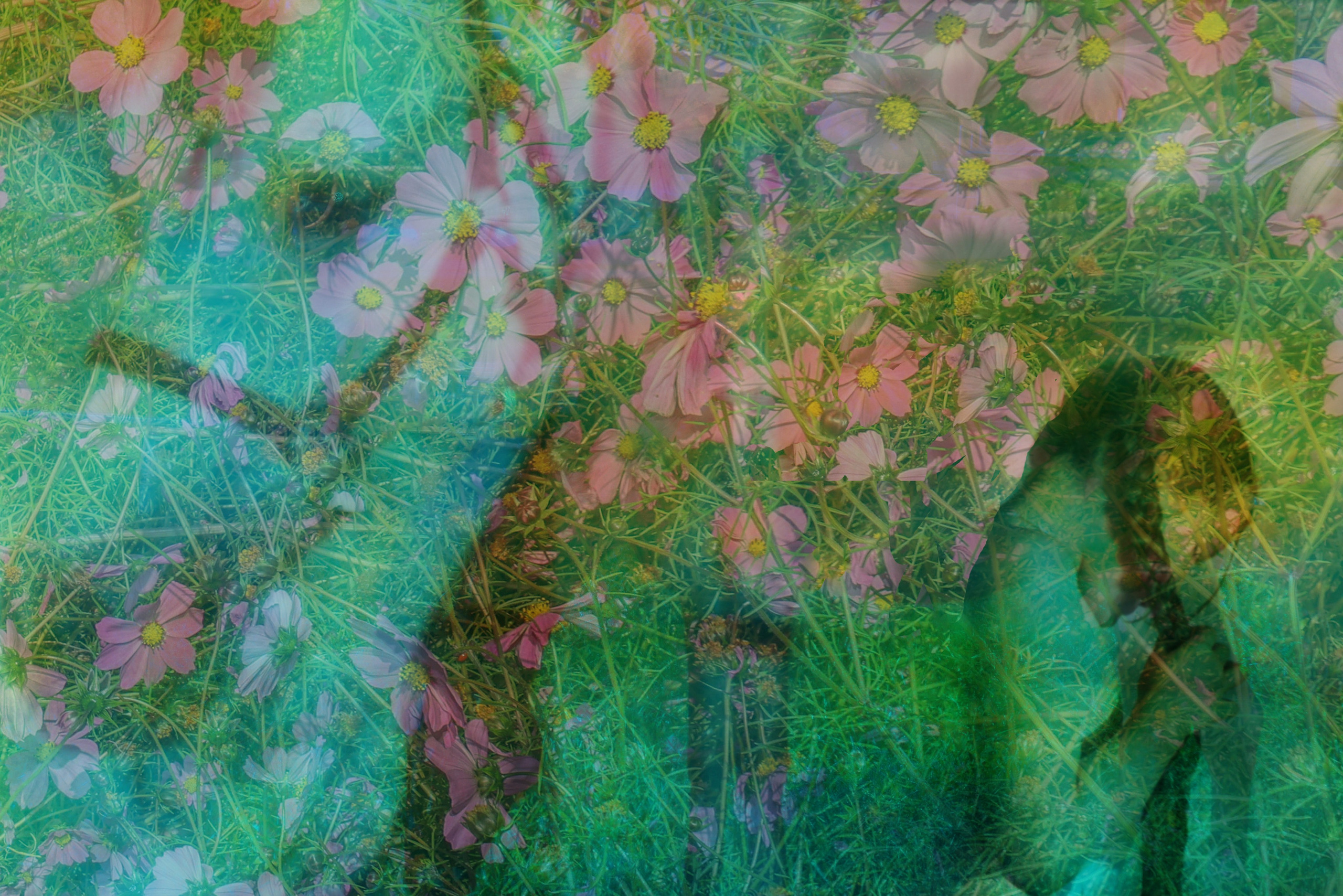 Фотохронотоп детства. Kateserbina