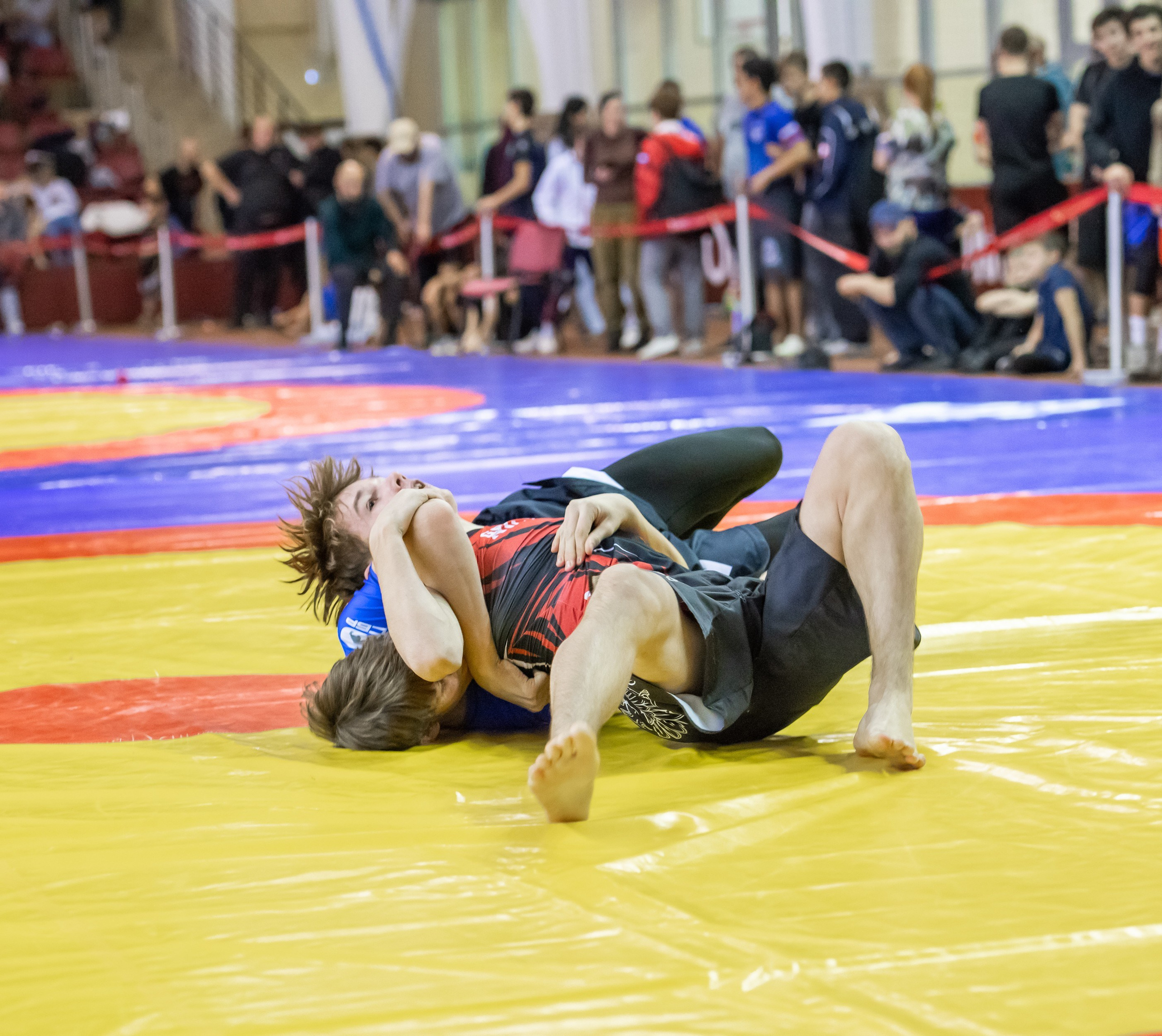 Греплинг. Денис Садовый фотограф Севастополь