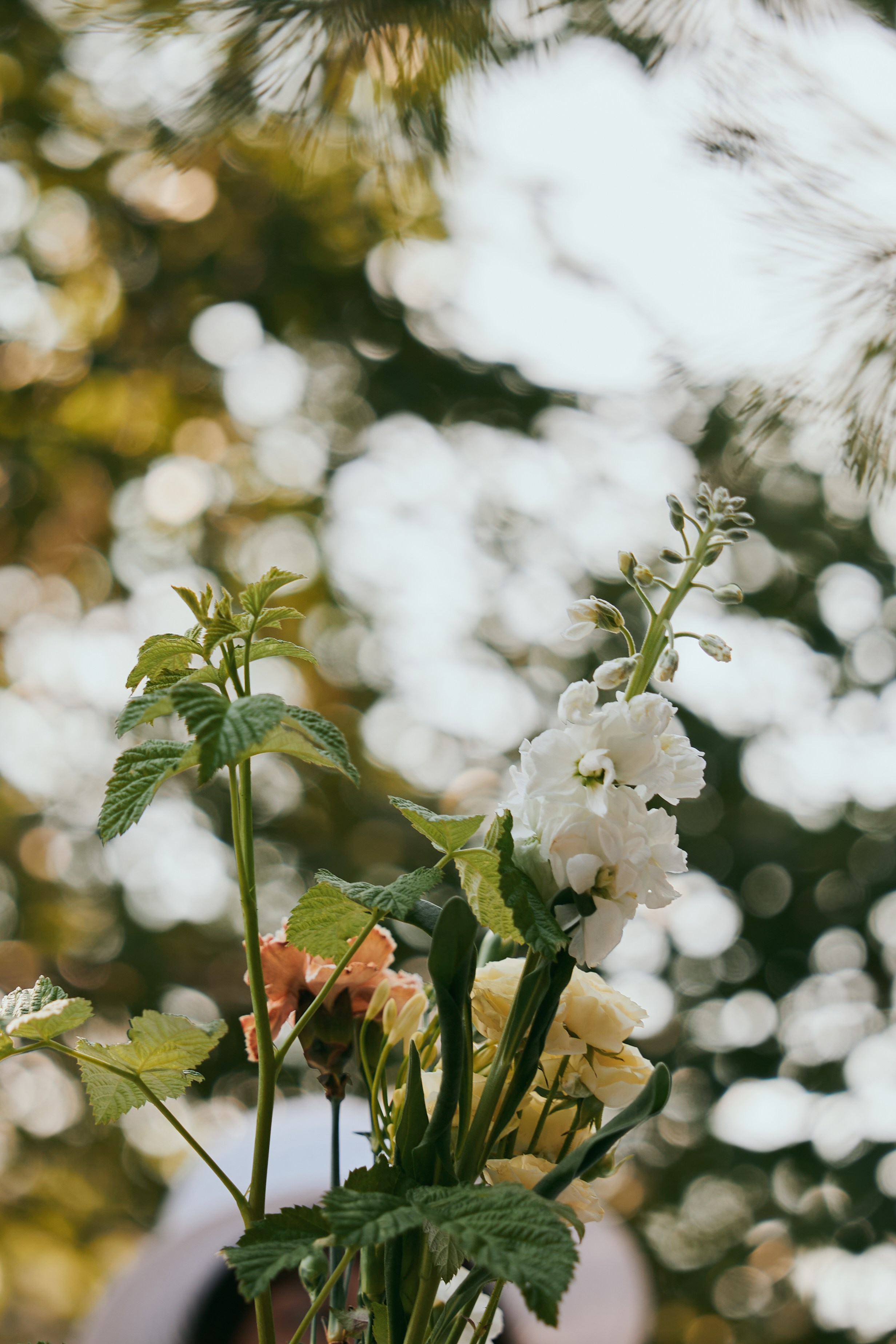 Завтрак в шляпках. Фотограф и видеограф в Кургане Леонид Корнильев