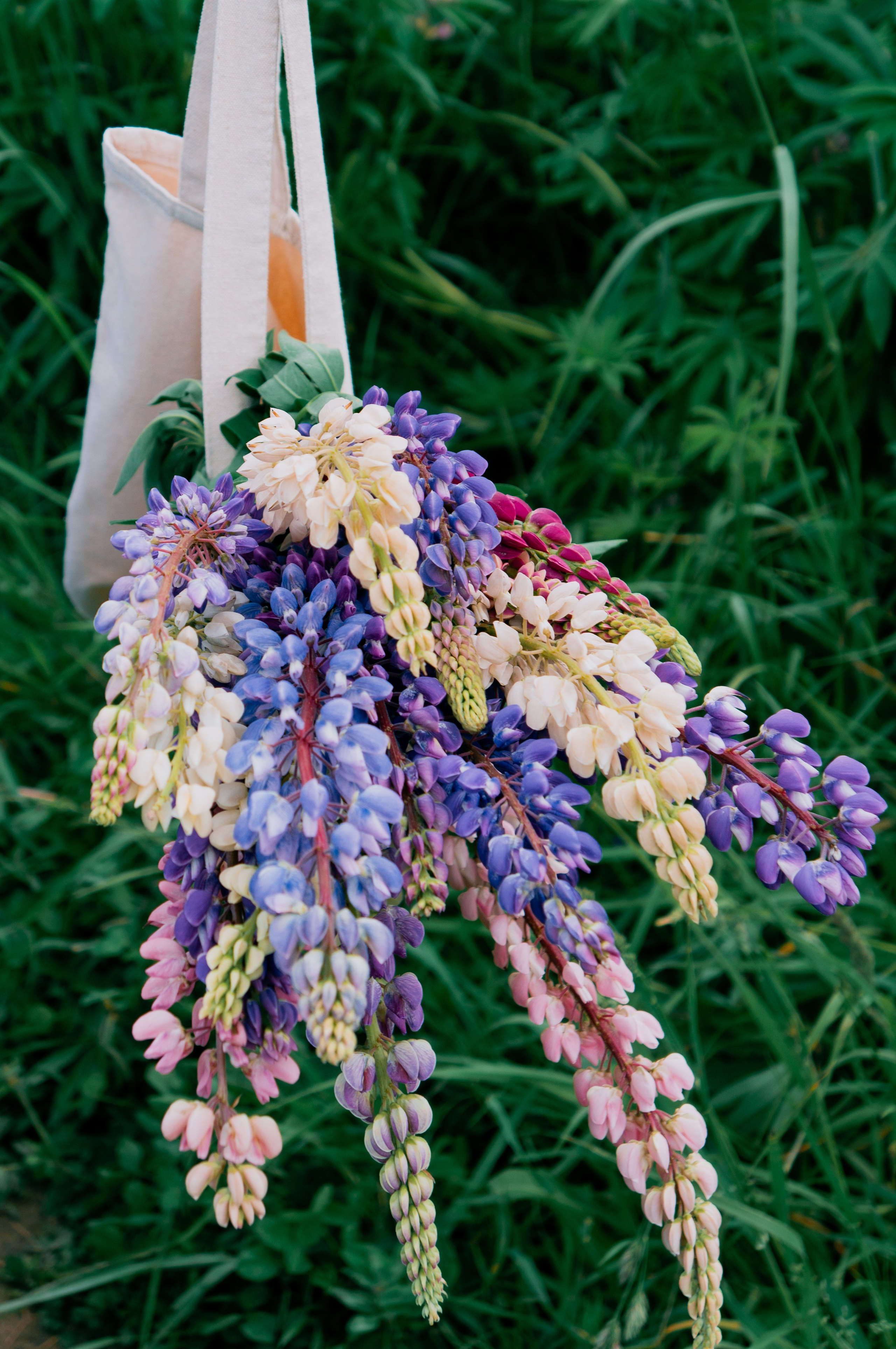 Валерия. Фотограф в Томске Светлана Нестерова