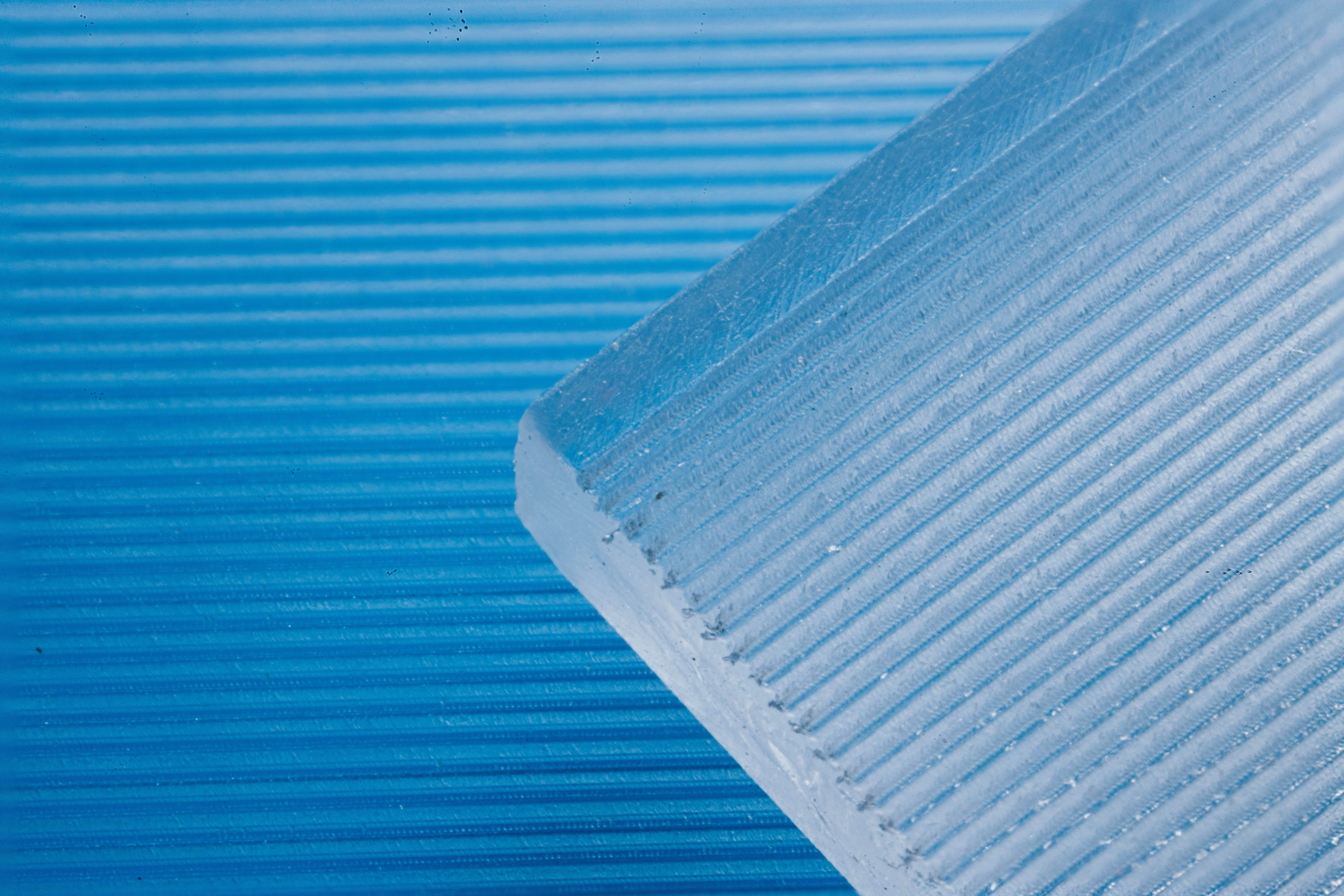 Макро съемка. Фотограф Балаев Михаил