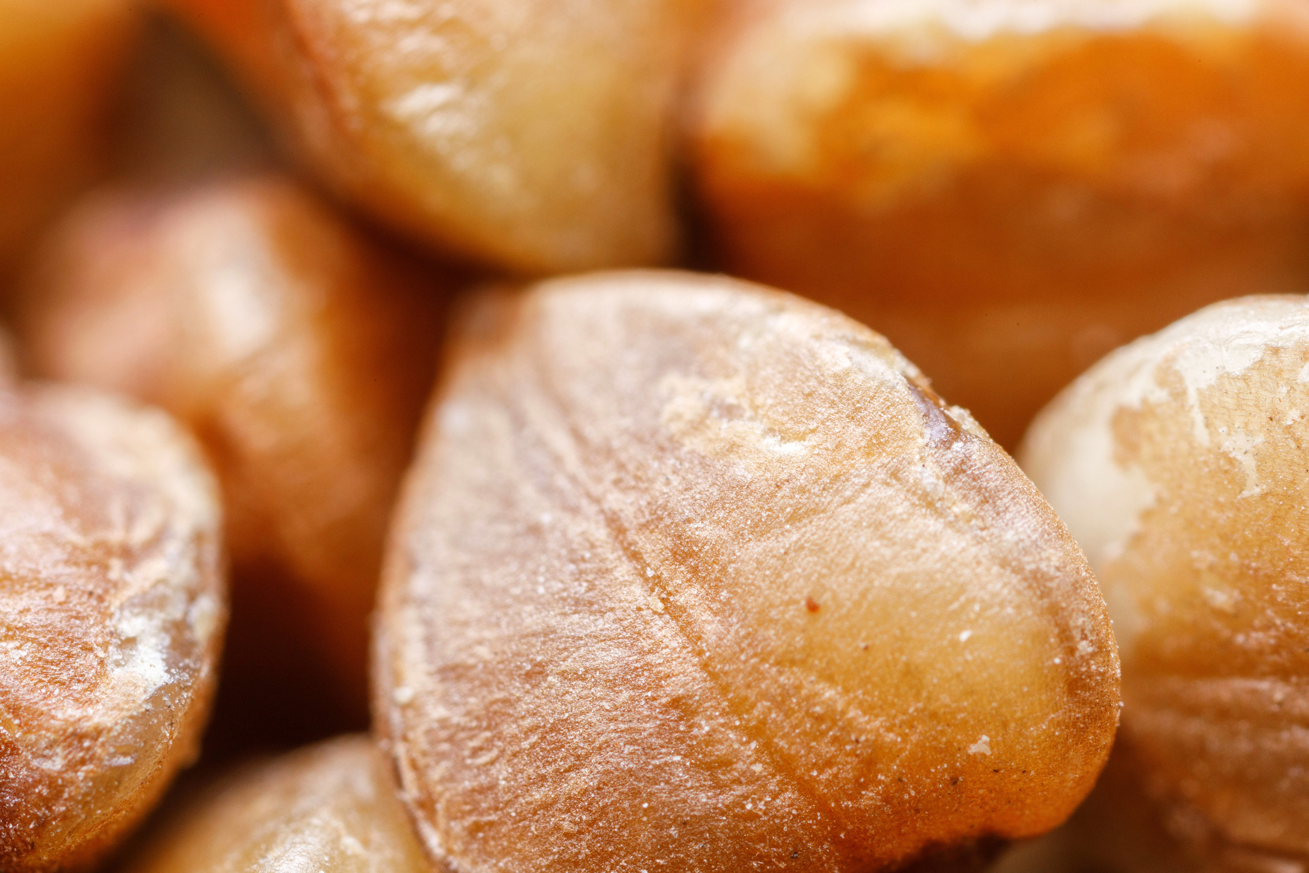 Макро съемка. Фотограф Балаев Михаил