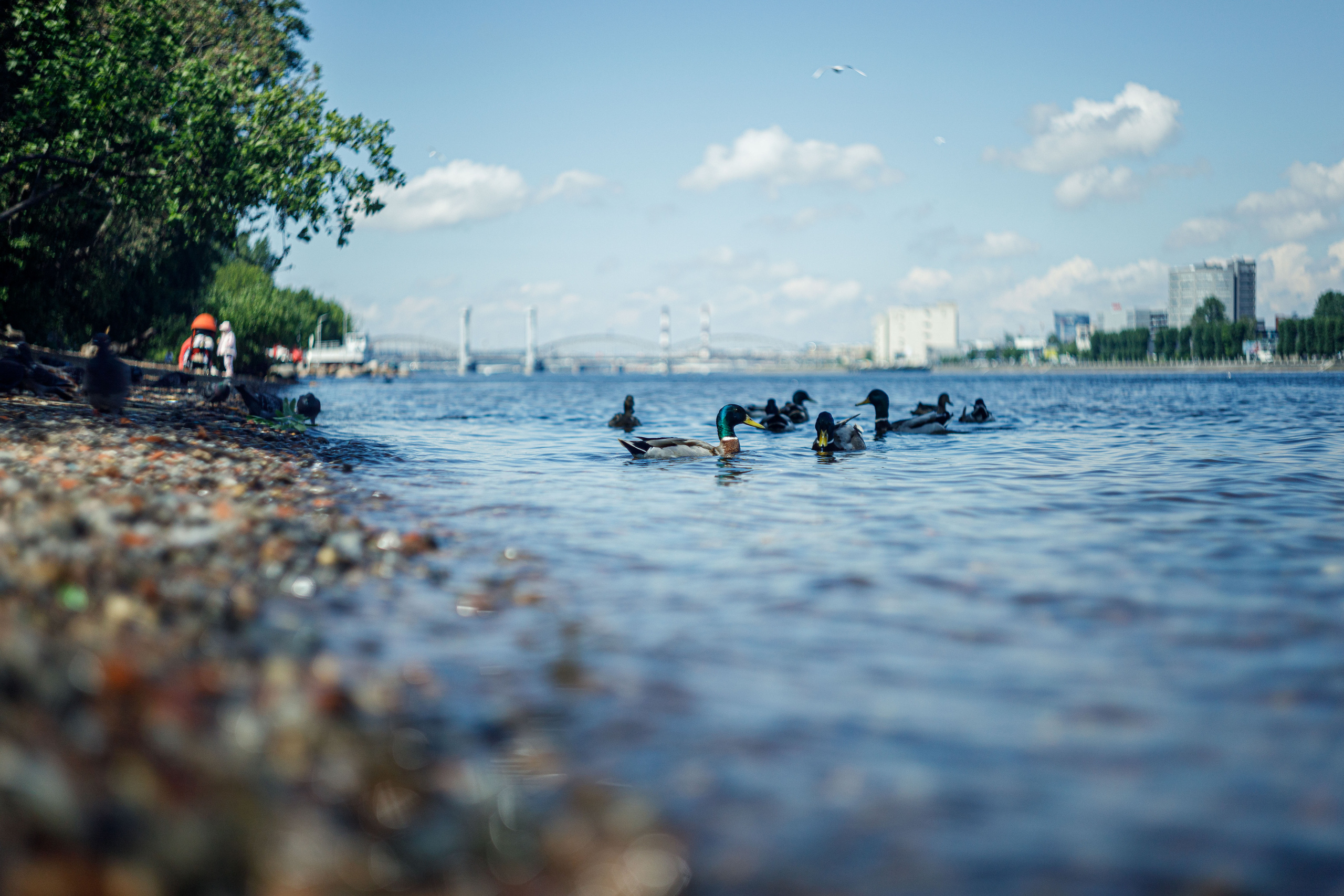 Гелиос 44-2 2/58. Фотограф Балаев Михаил