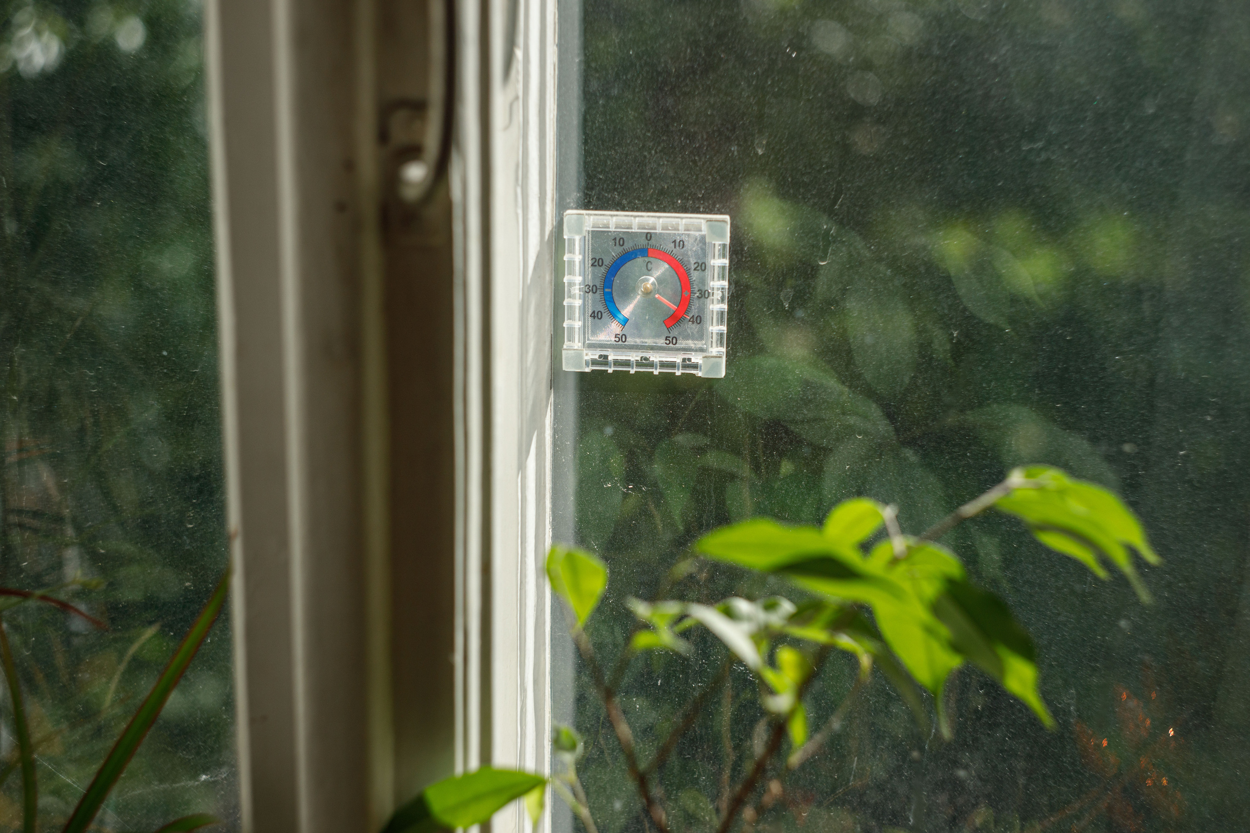 Гелиос 44-2 2/58. Фотограф Балаев Михаил