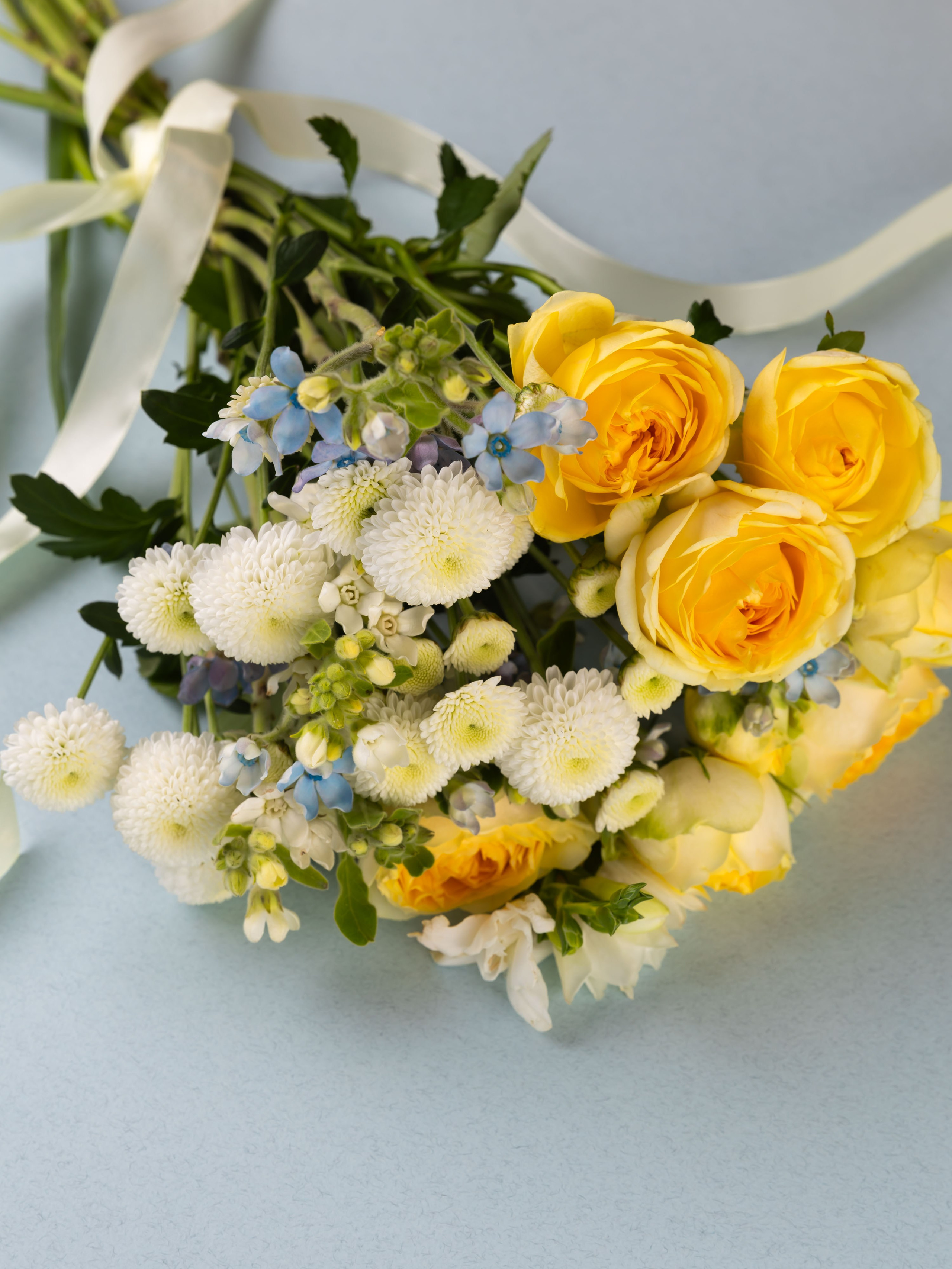 01.08.2025 Фотосессия Цветополис. ФОТОГРАФ ВИНОГРАДОВА ДАРЬЯ