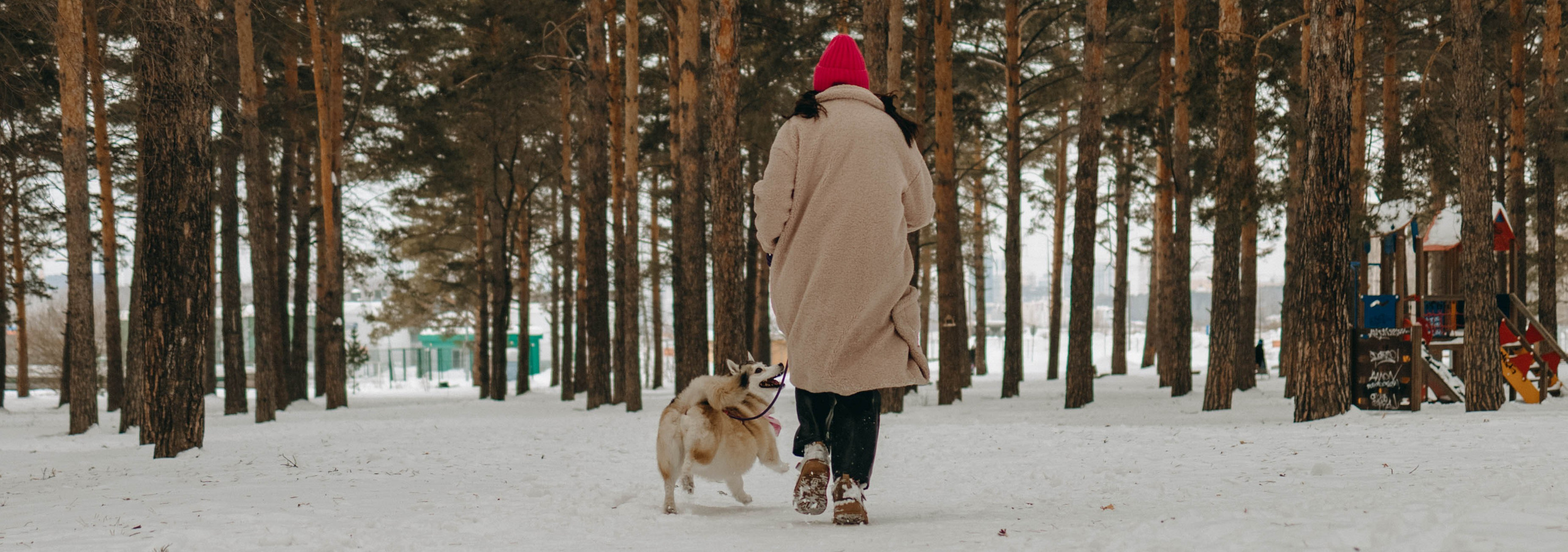 Варвара и Шелби. Фотограф-анималист в Екатеринбурге | Кристина