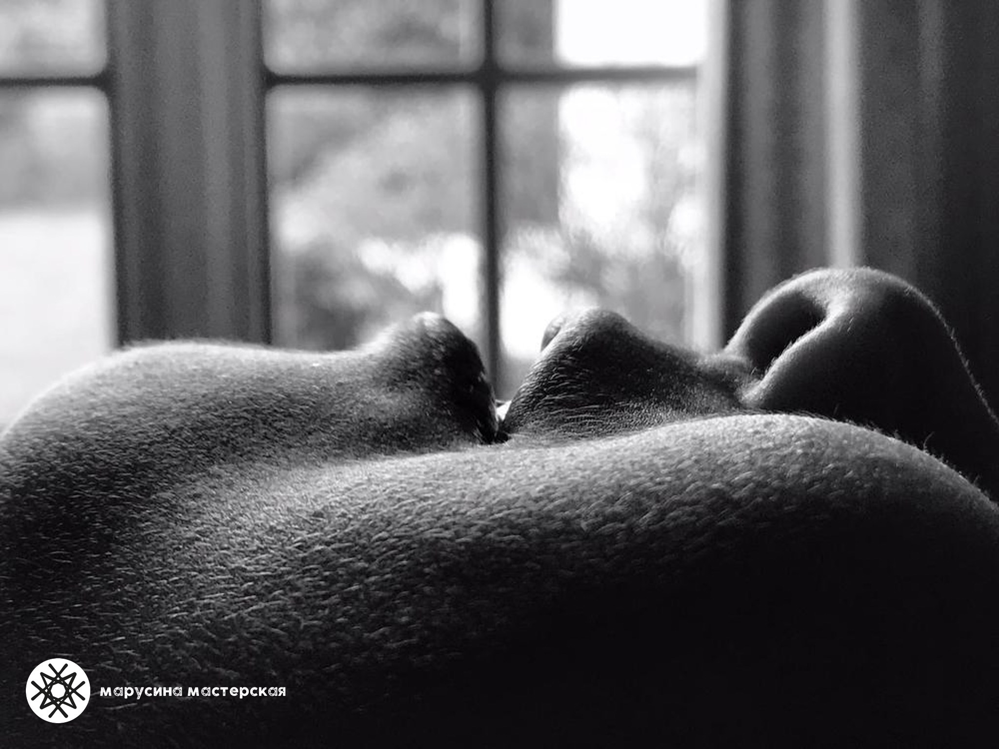 Юлия Зырина