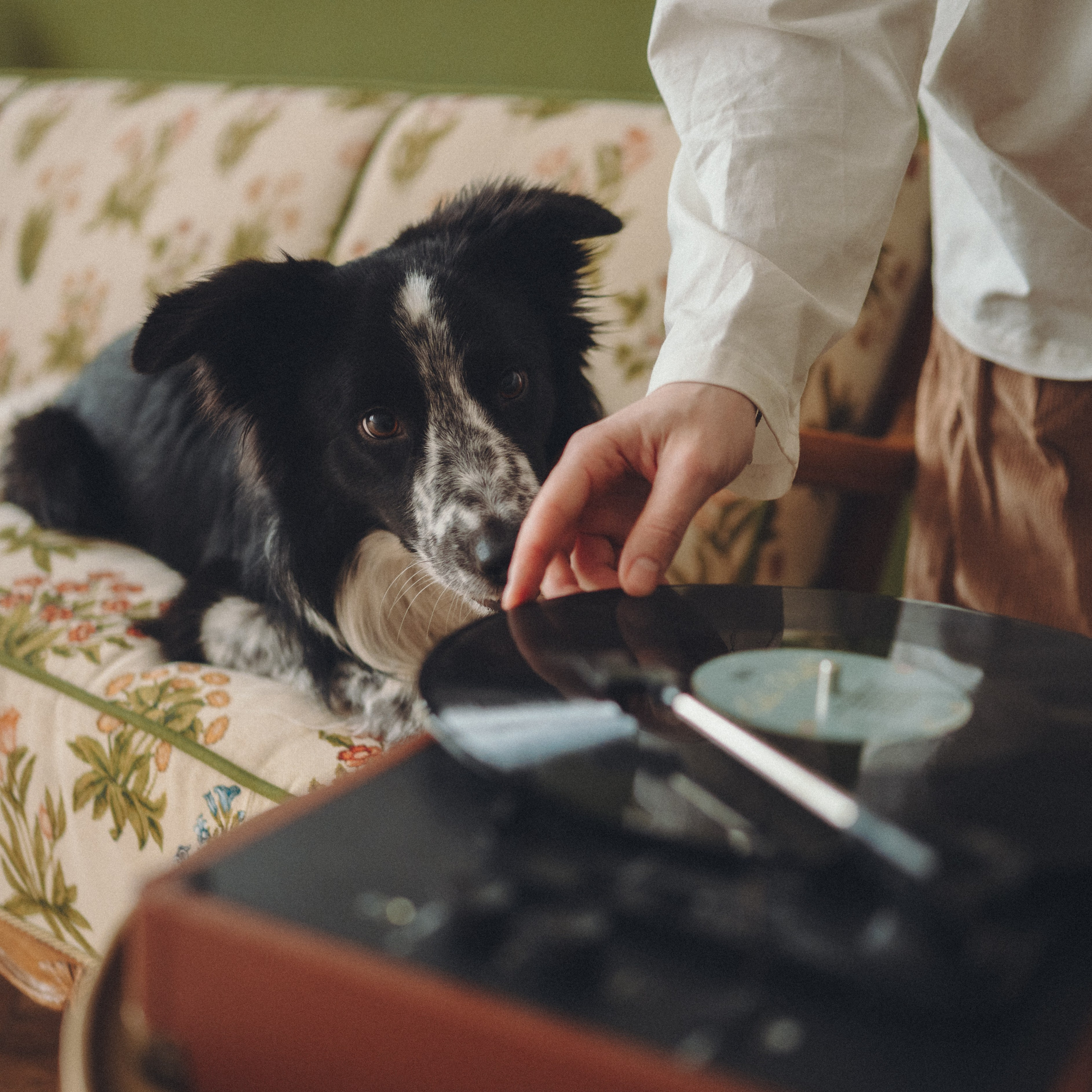 Настя и Рэги. Семейный фотограф анималист Ананьева Мария — Москва