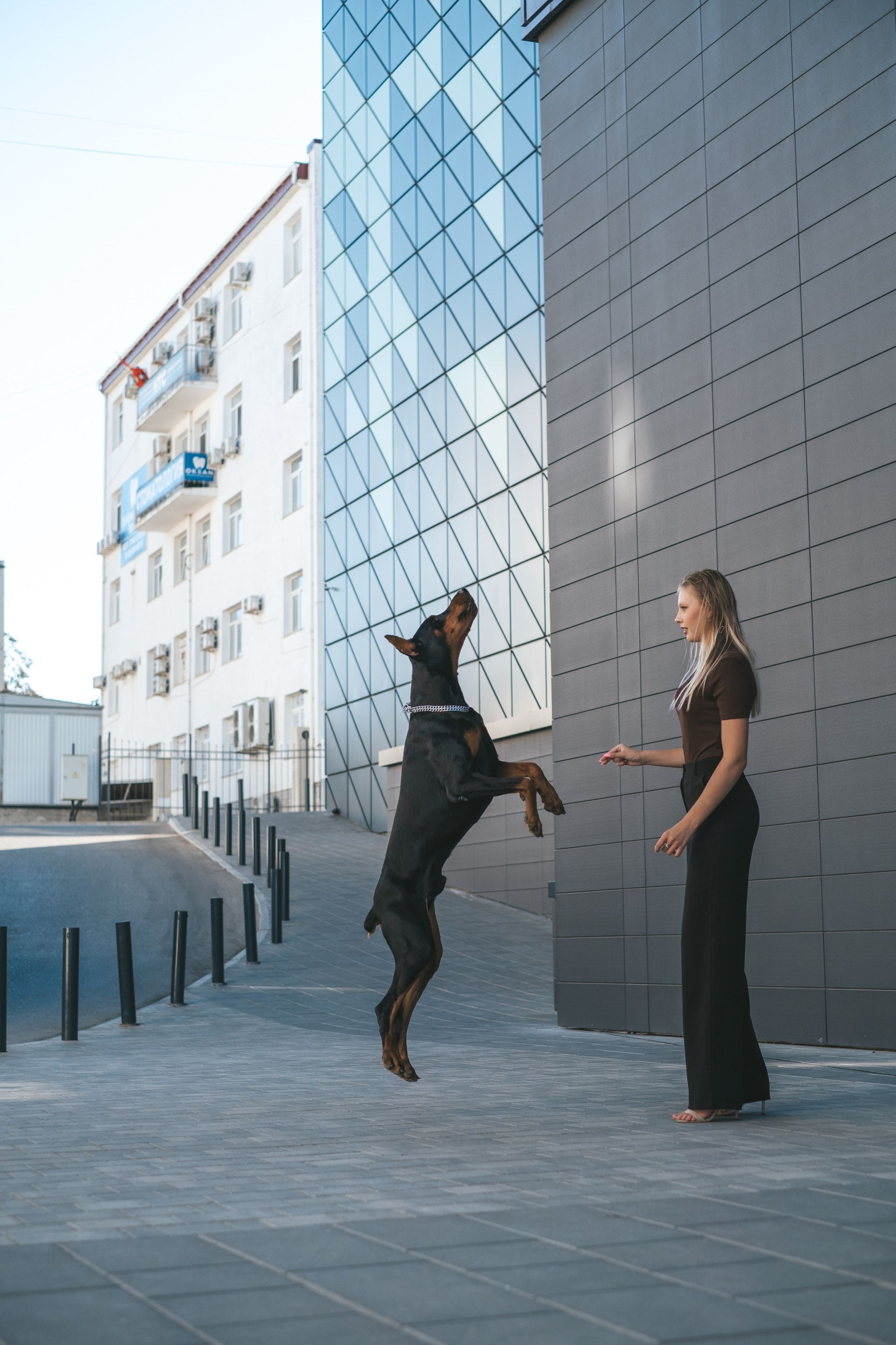 Фотосессия с Доберманом. Профессиональная фотосъемка в Крыму. Натуральные эмоции и живые кадры. Забронируйте дату прямо сейчас!