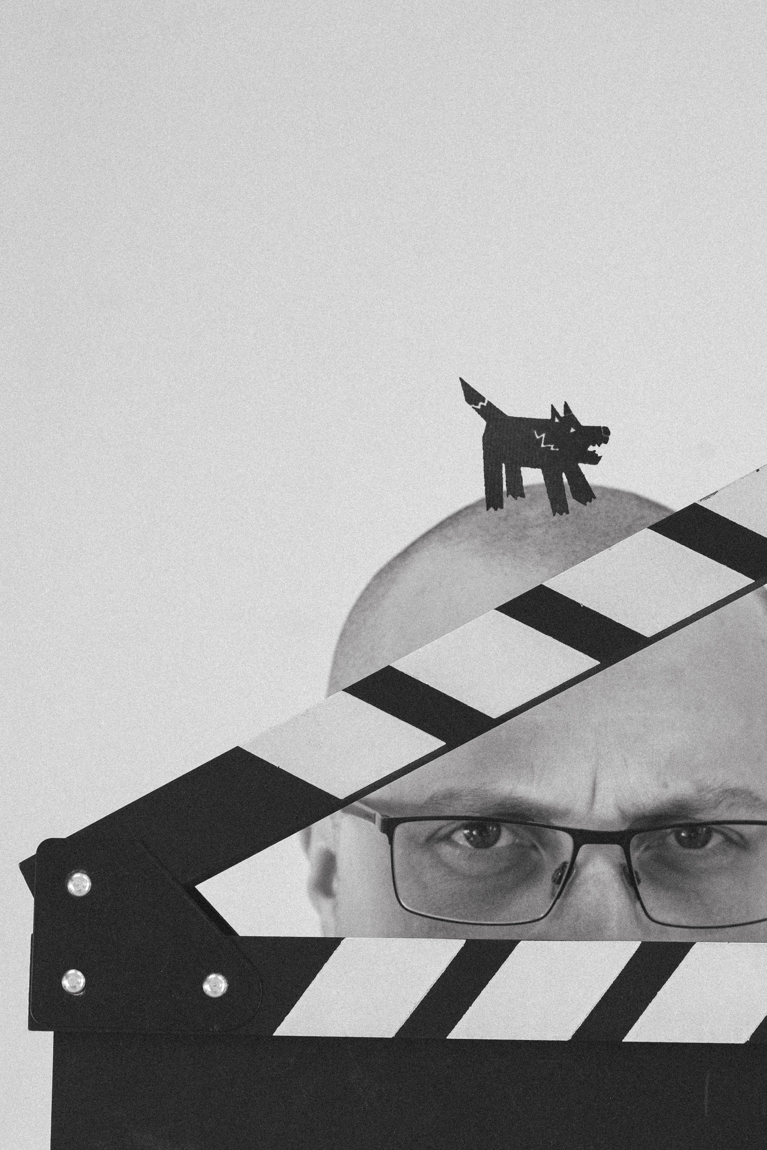 Константин Лобанов ЧБ. Фотограф-анималист Ксения Воробьева, Москва