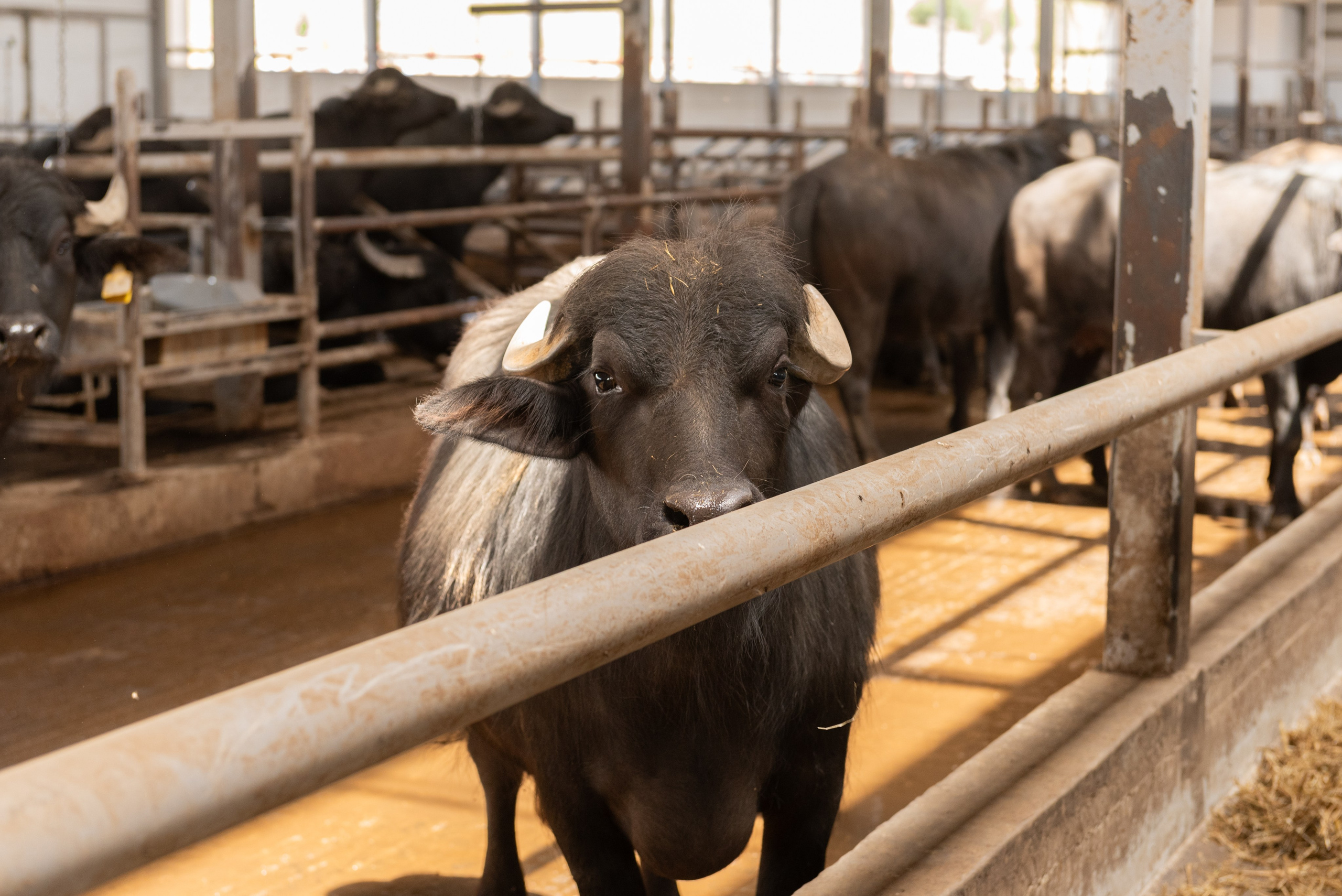 Репортаж. Фотограф Злата Воробьёва | Москва