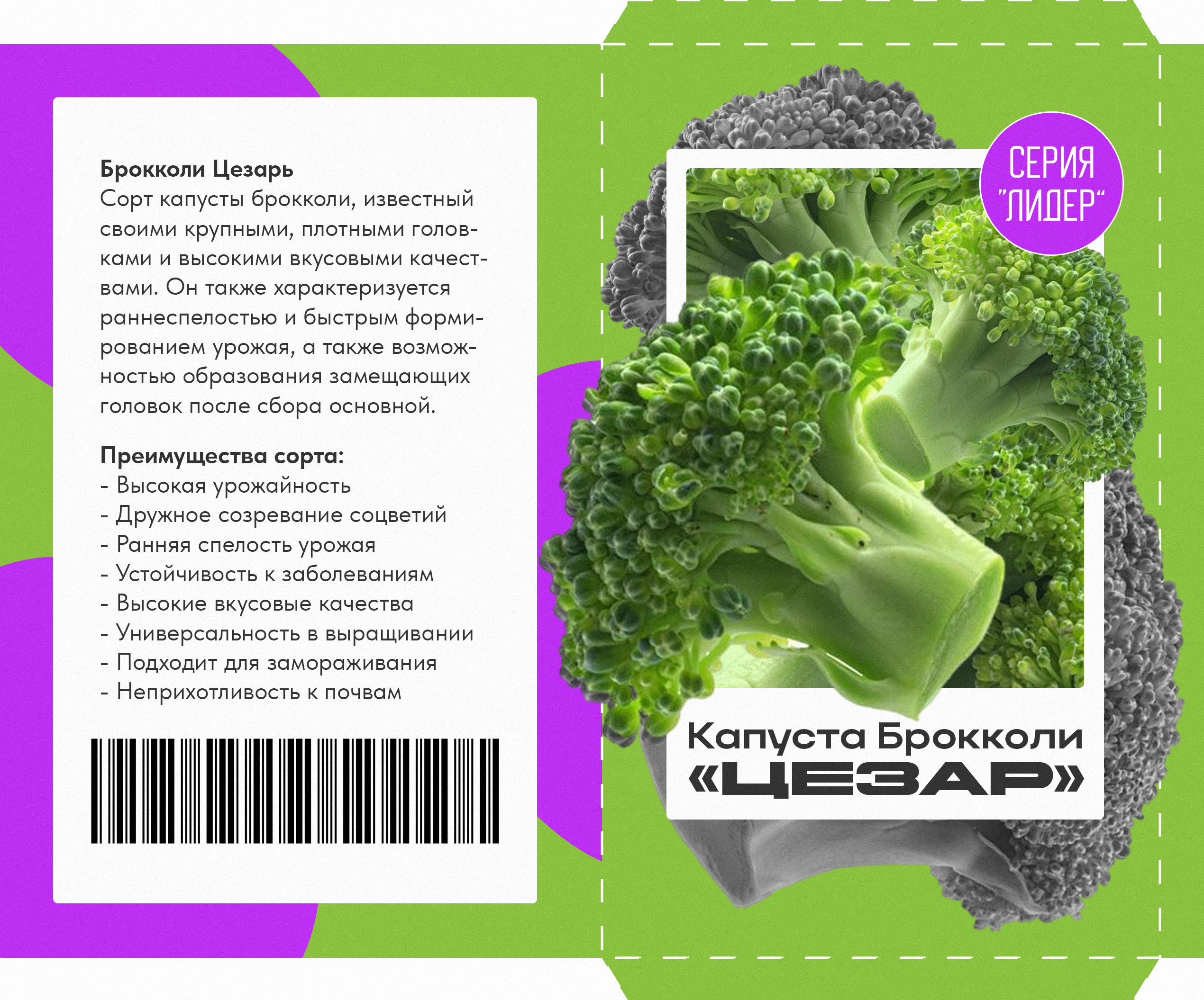 Инфографика. Фотограф-дизайнер Инна Степанова, Орел