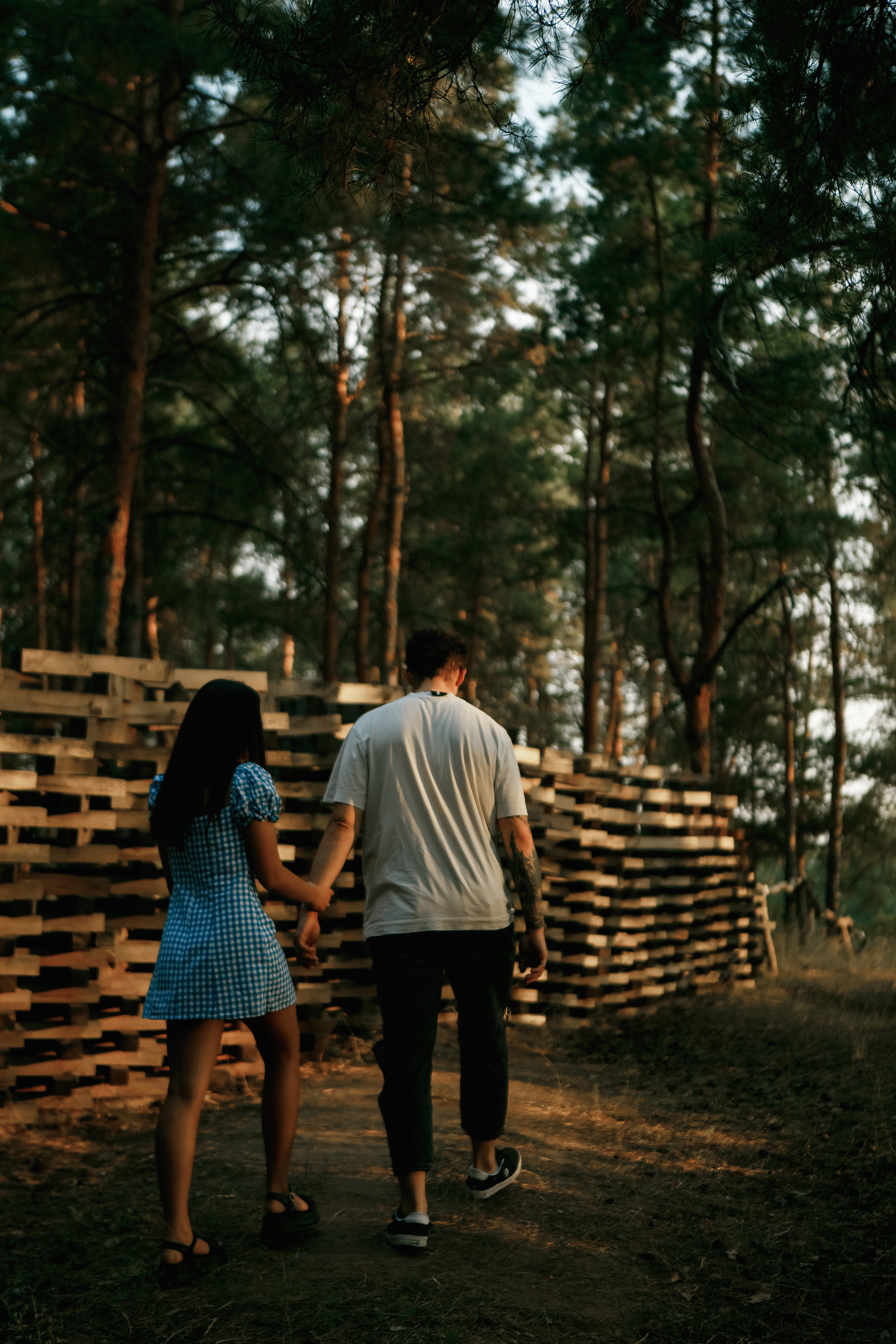 В сосновом бору. Фотограф Илья Чудин в Саратове