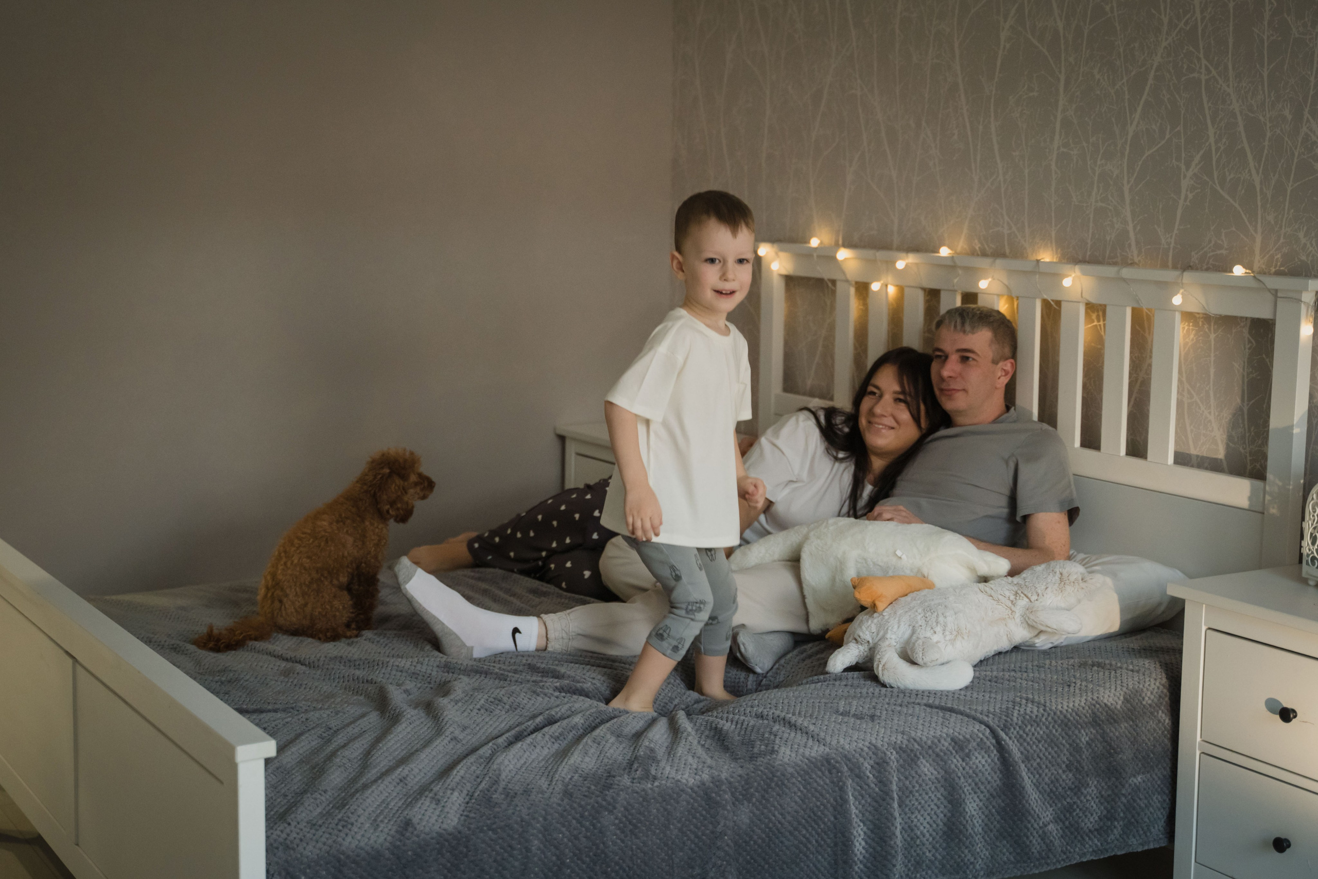 Предновогодний вечер. Главная